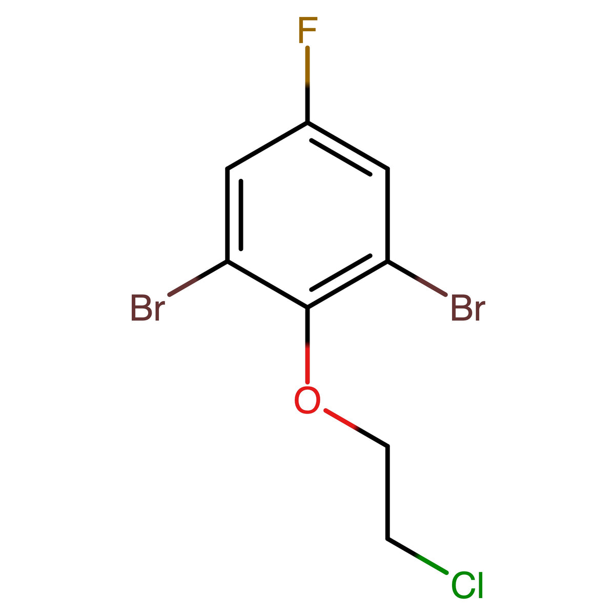 CAS RN 203922-16-1 | 1_(2_Chloroethoxy)_2,6_dibromo_4_fluorophenol | MFCD30294965