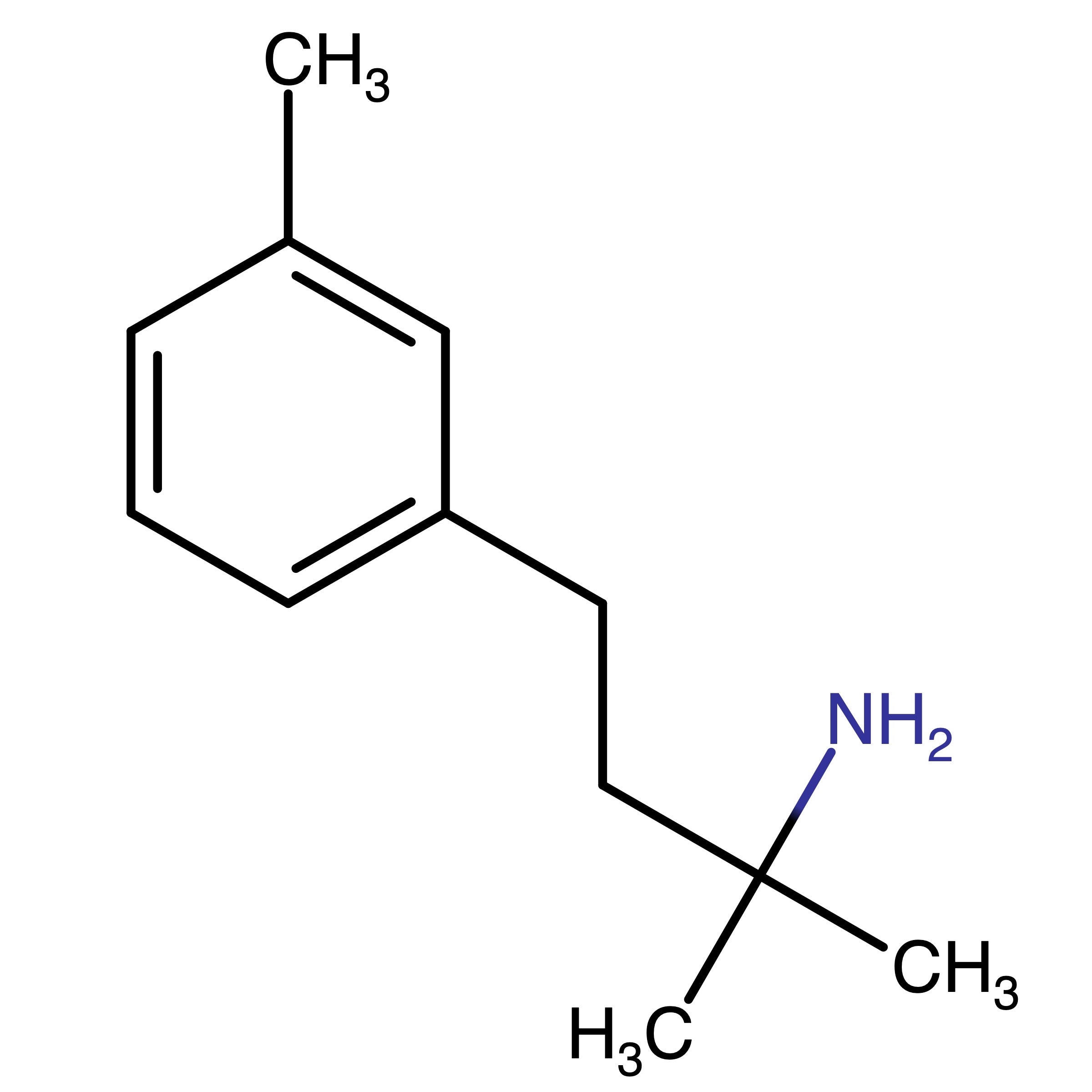 CAS RN 1268064-62-5 | 2-Methyl-4-(m-tolyl)butan-2-amine | MFCD19313722
