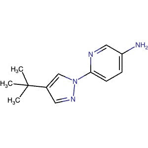 1393125-96-6 | 6-(4-(tert-Butyl)-1H-pyrazol-1-yl)pyridin-3-amine - Hoffman Fine Chemicals