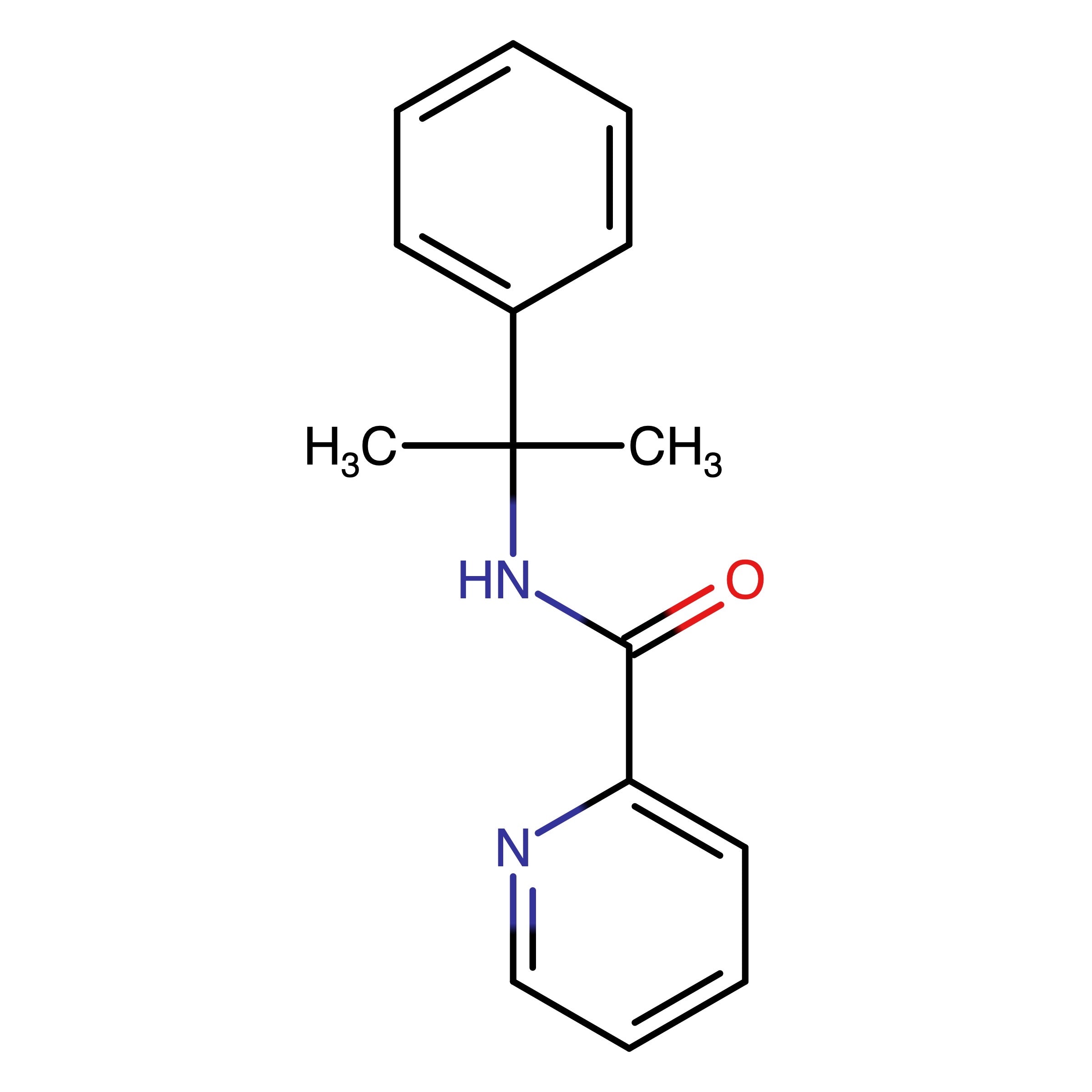 CAS RN 1404616-63-2 | N-(1-Methyl-1-phenylethyl)picolinamide