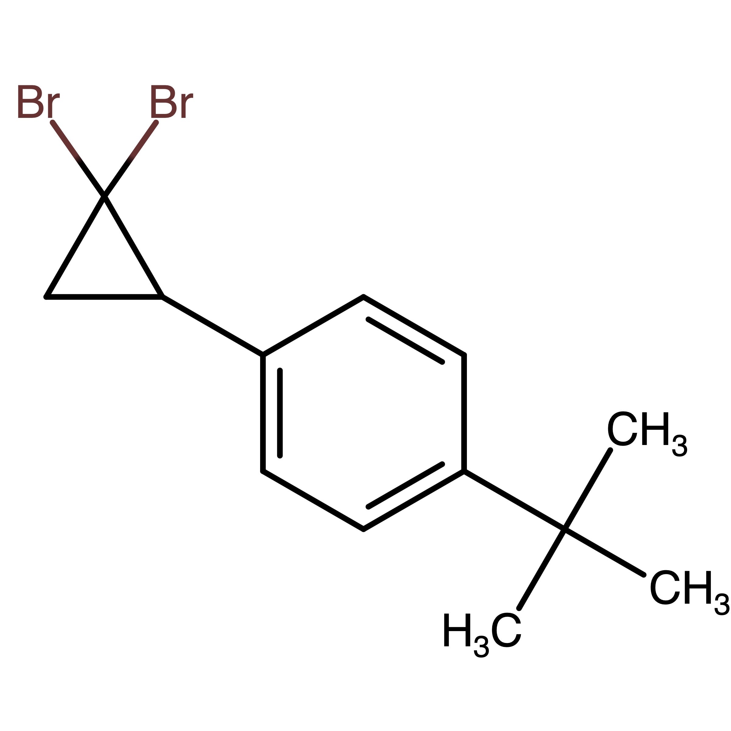 CAS RN 1450929-71-1 | 1-tert-Butyl-4-(2,2-dibromocyclopropyl)benzene 
