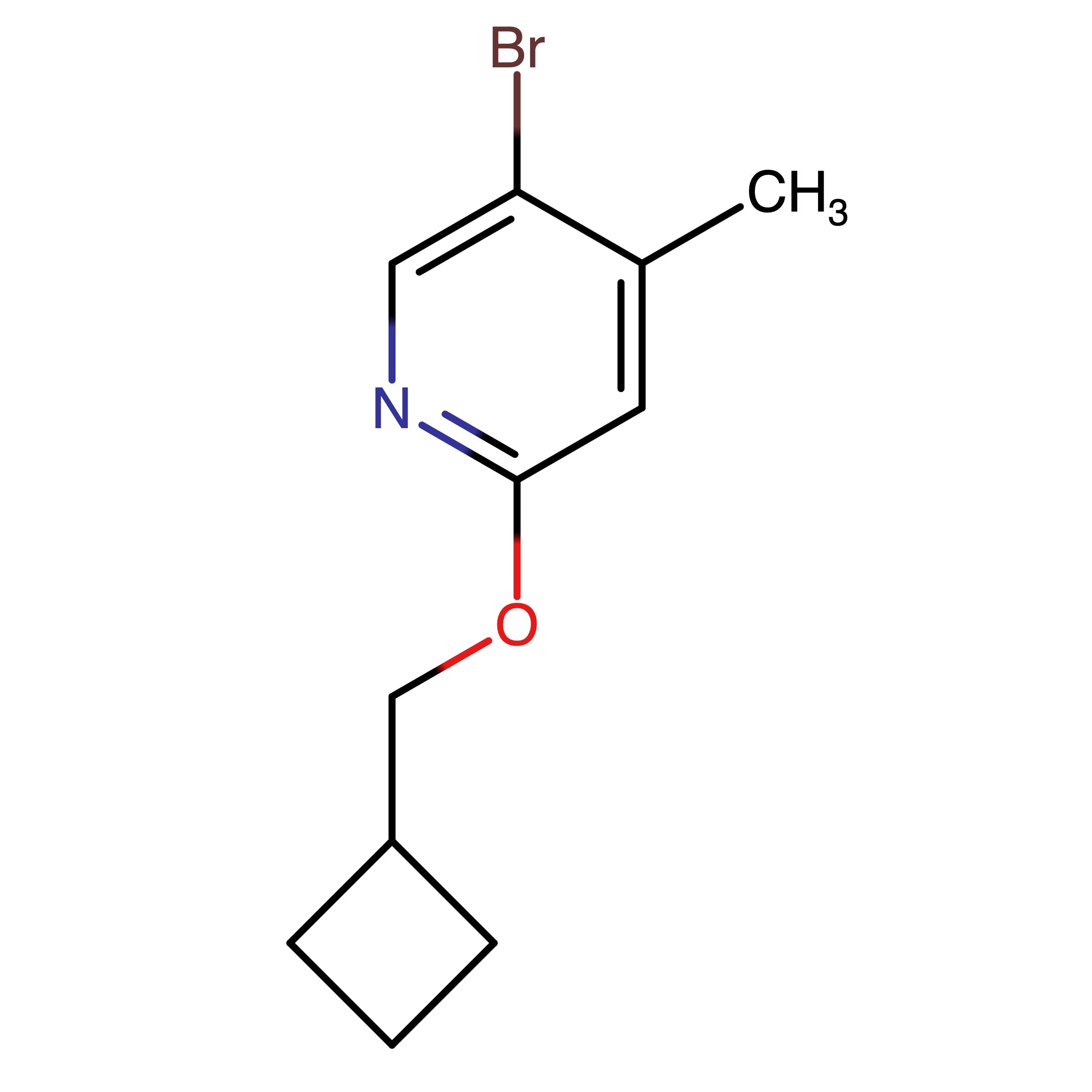 CAS RN 1798295-05-2 | 5-Bromo-2-(cyclobutylmethoxy)-4-methylpyridine | MFCD31760387