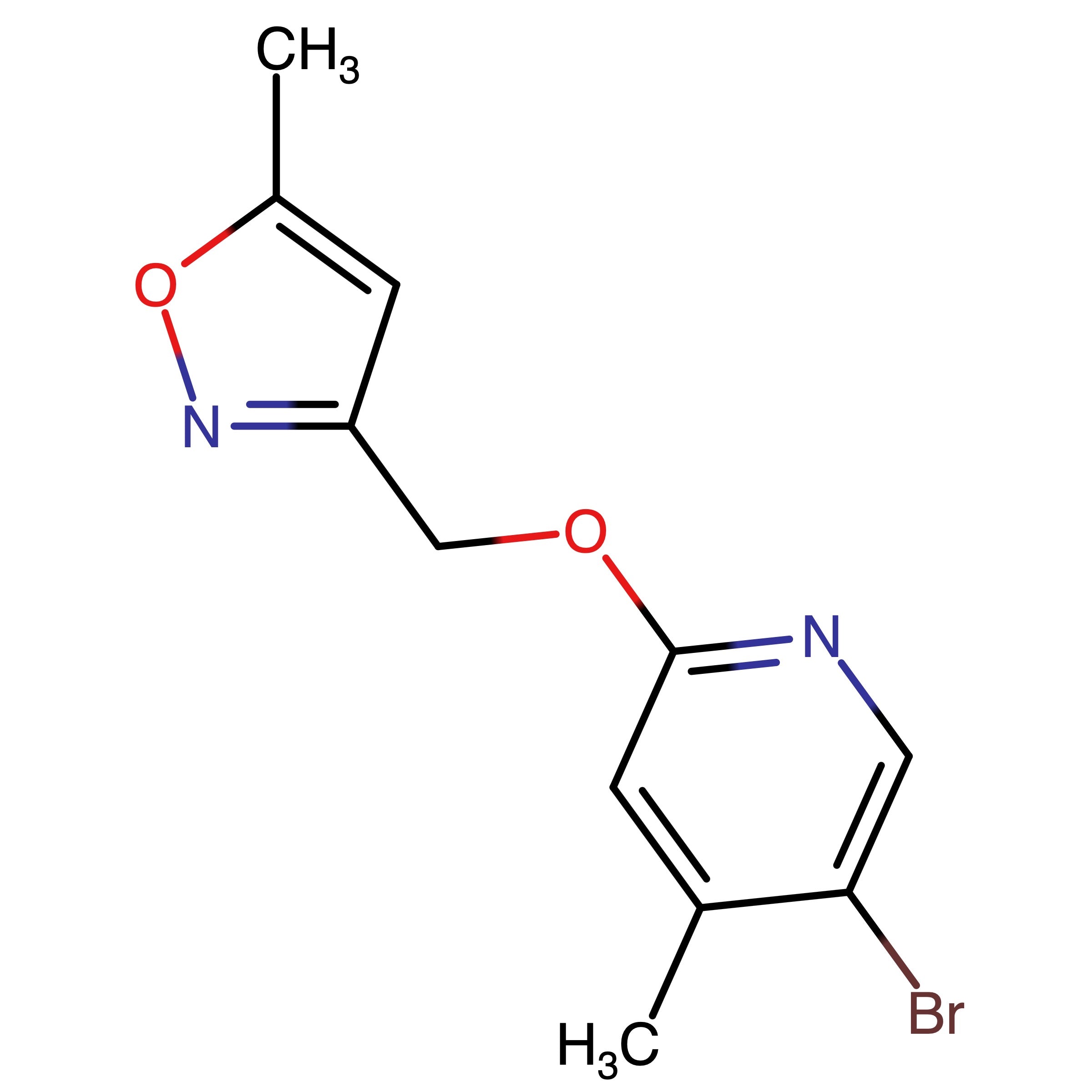 CAS RN 1798295-06-3 | 3_(((5_Bromo_4_methylpyridin_2_yl)oxy)methyl)_5_methylisoxazole