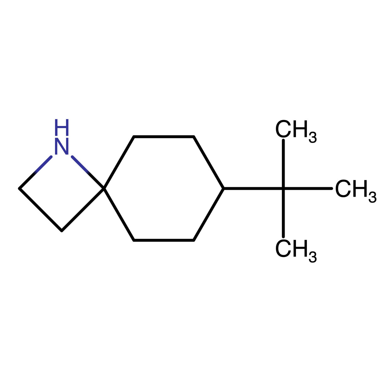 CAS RN 2408969-83-3 | rac-(4s,7s)-7-tert-Butyl-1-azaspiro(3.5)nonane | MFCD32269028
