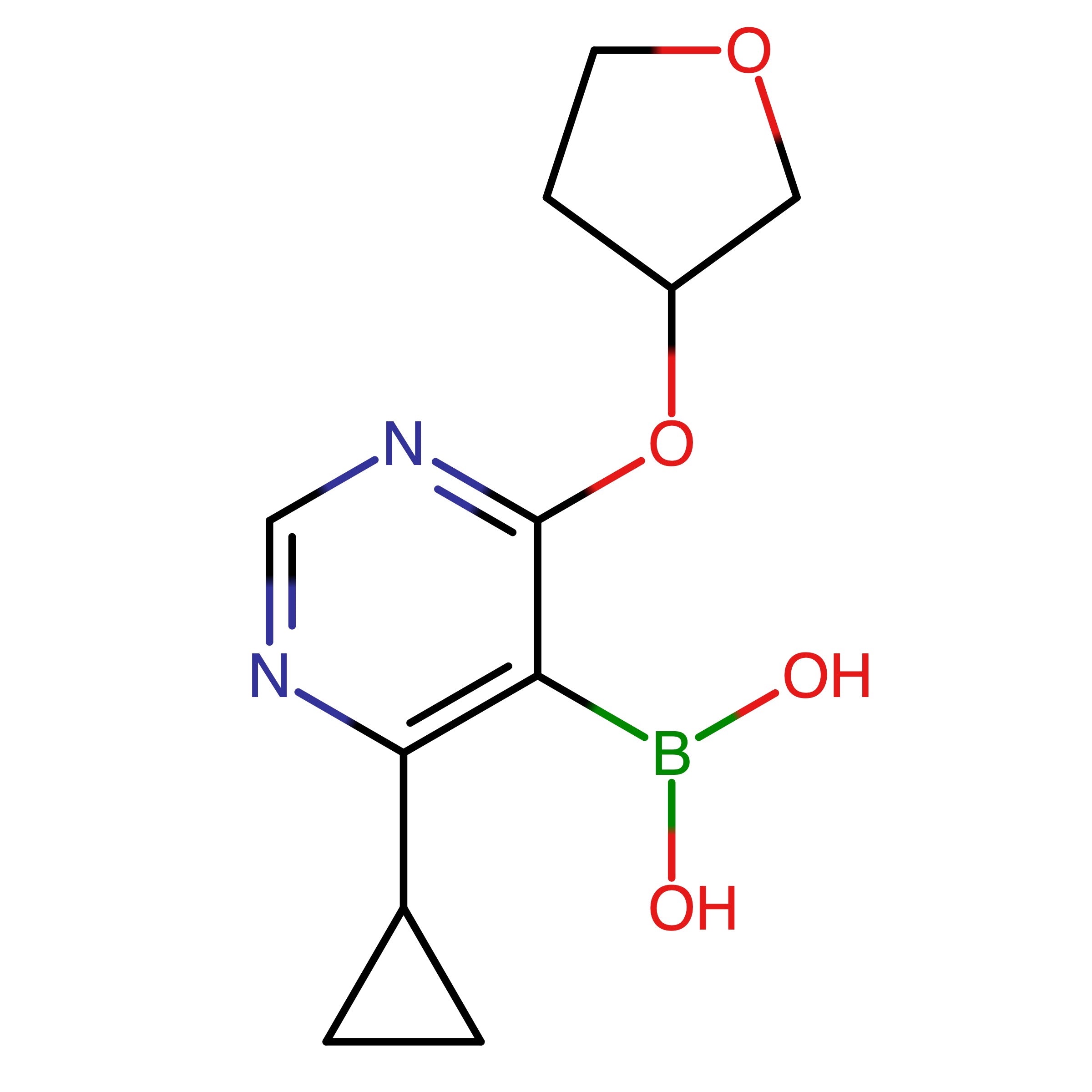 CAS RN 2446483-51-6 | (4-Cyclopropyl-6-((tetrahydrofuran-3-yl)oxy)pyrimidin-5-yl)boronic acid
