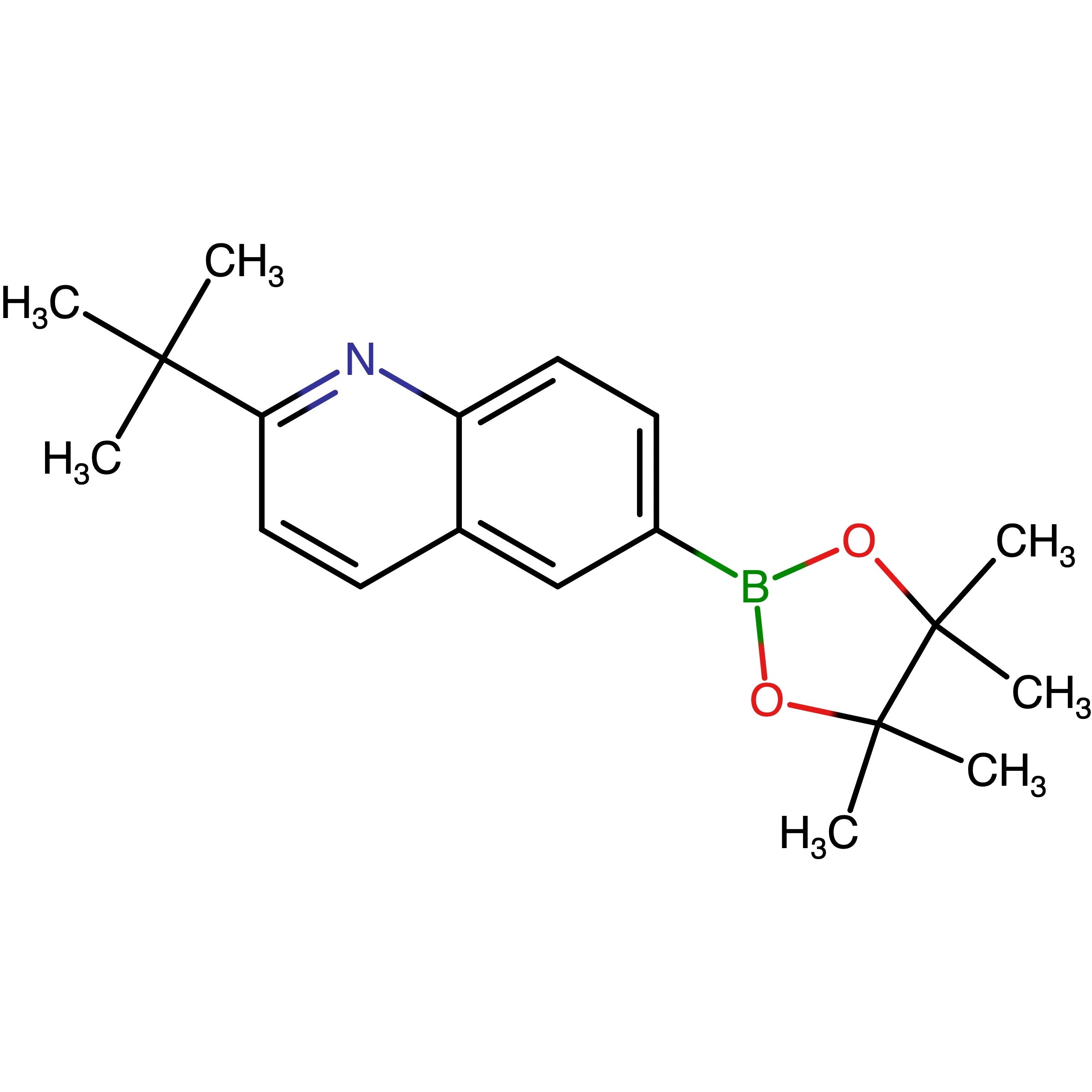 CAS RN 3067232-64-5 | 2-(tert-Butyl)-6-(4,4,5,5-tetramethyl-1,3,2-dioxaborolan-2-yl)quinoline