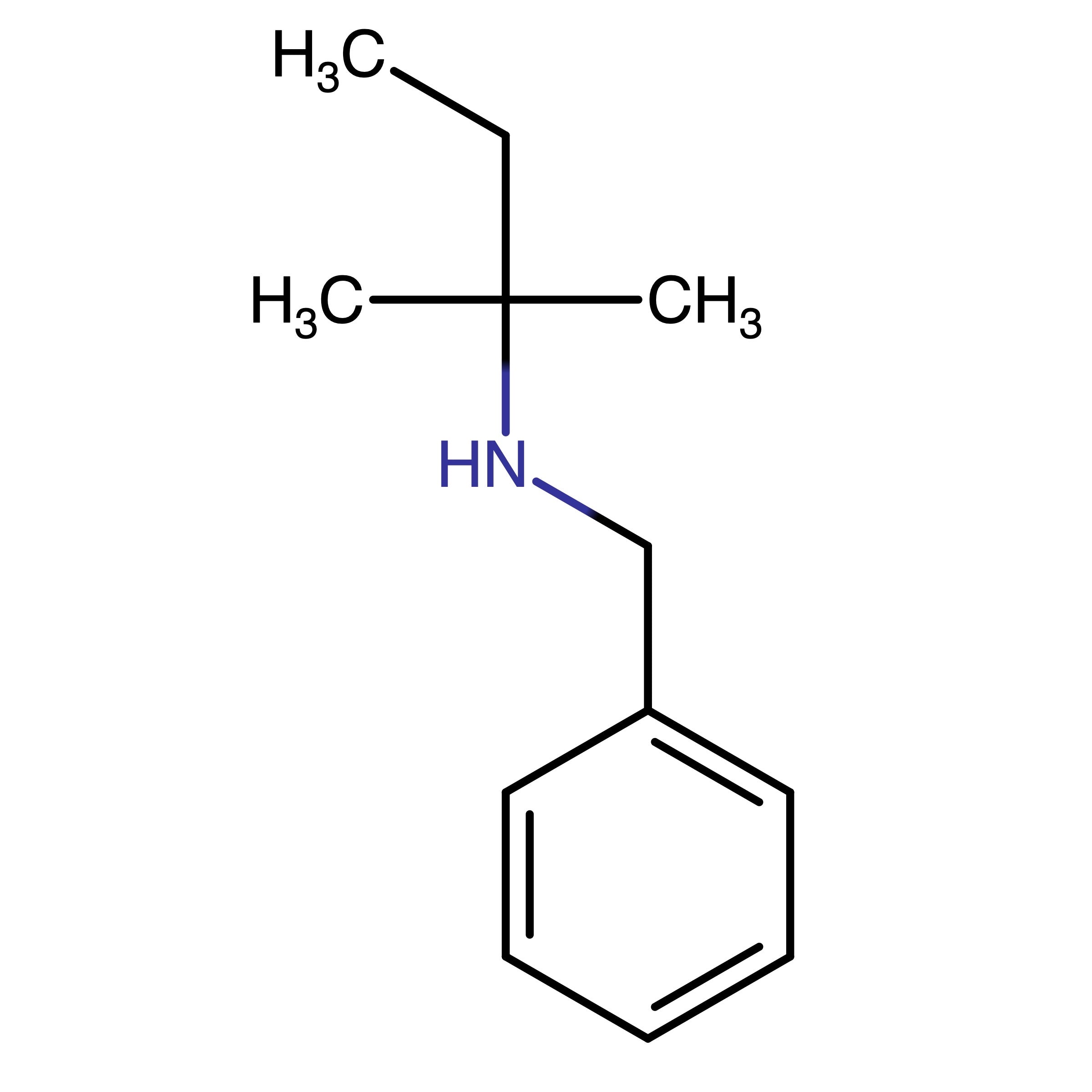 CAS RN 345252-69-9 | Benzyl(2-methylbutan-2-yl)amine | MFCD09688386