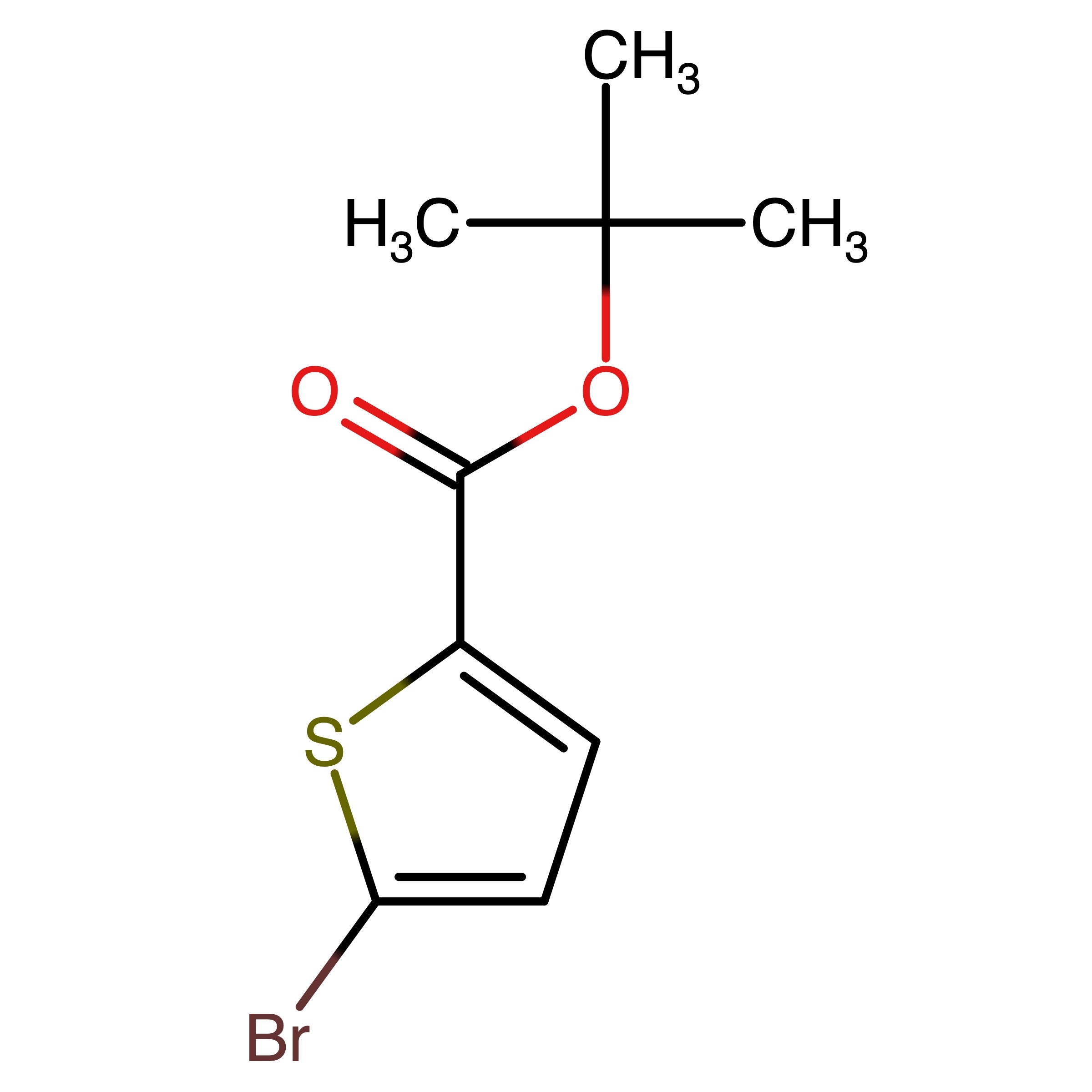CAS RN 62224-20-8 | tert-Butyl 5-bromothiophene-2-carboxylate | MFCD19600057