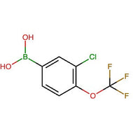 870822-79-0 | (3-Chloro-4-(trifluoromethoxy)phenyl)boronic acid - Hoffman Fine Chemicals