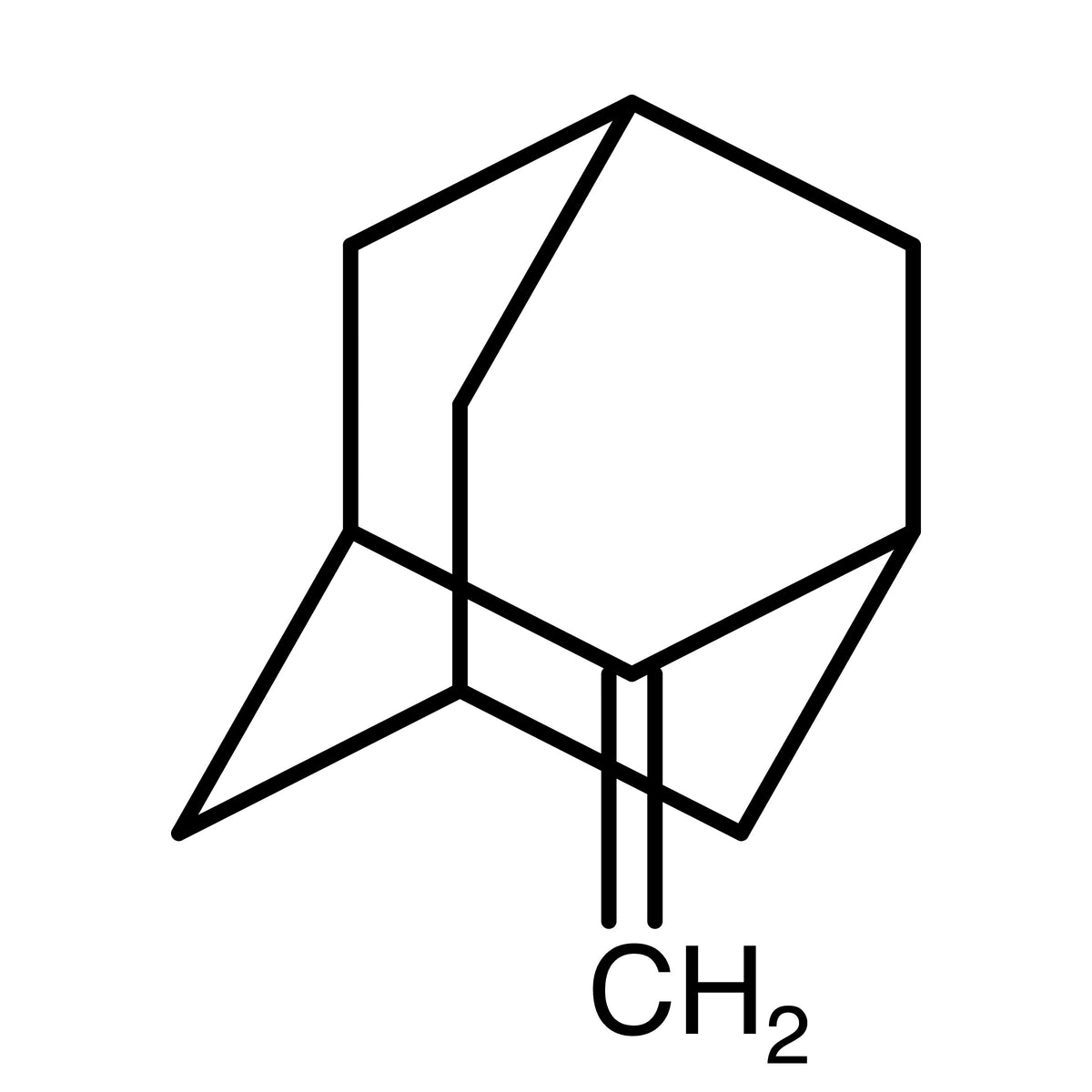 CAS RN 875-72-9 | 2-Methylideneadamantane | MFCD00181012