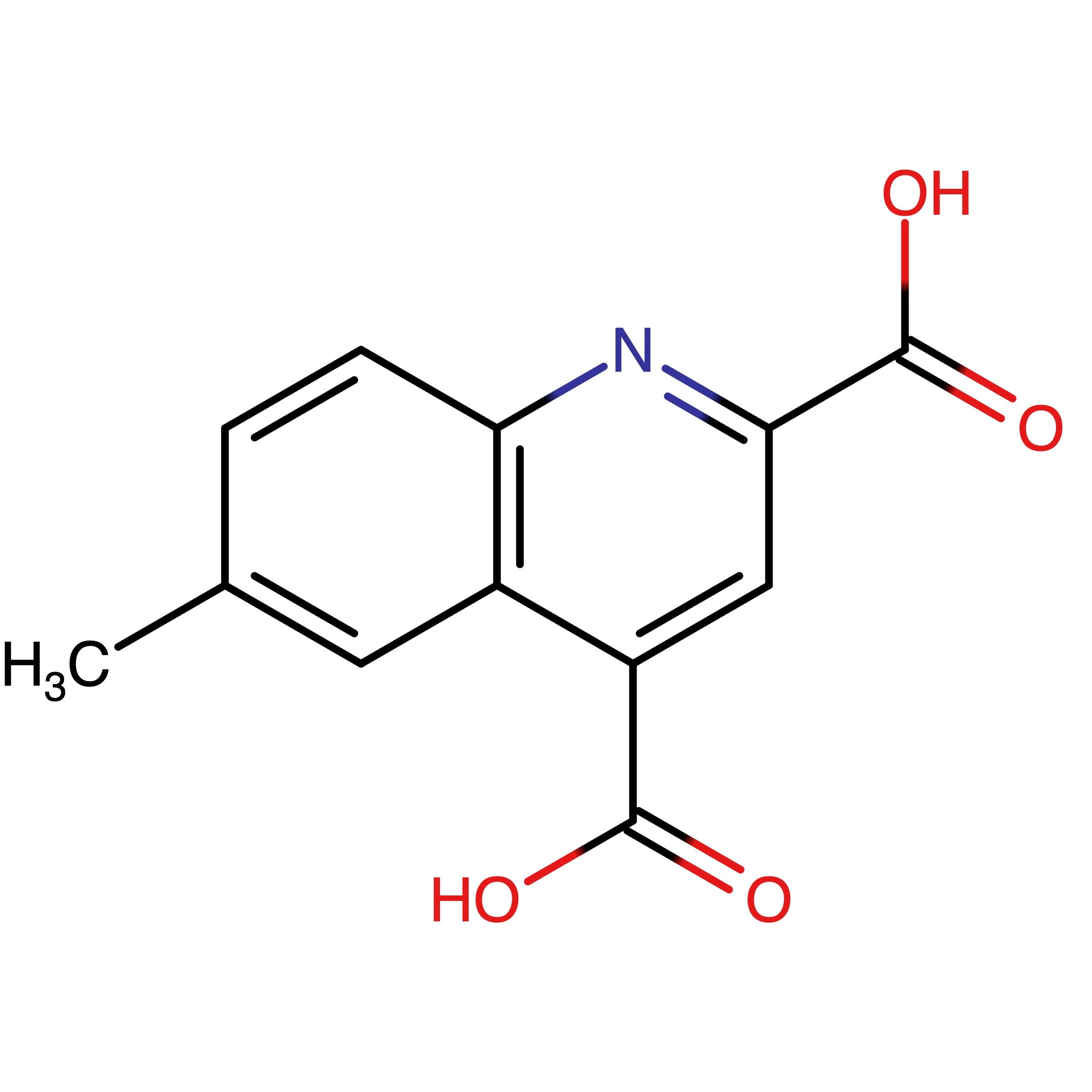 CAS RN 91493-56-0 | 6-Methylquinoline-2,4-dicarboxylic acid