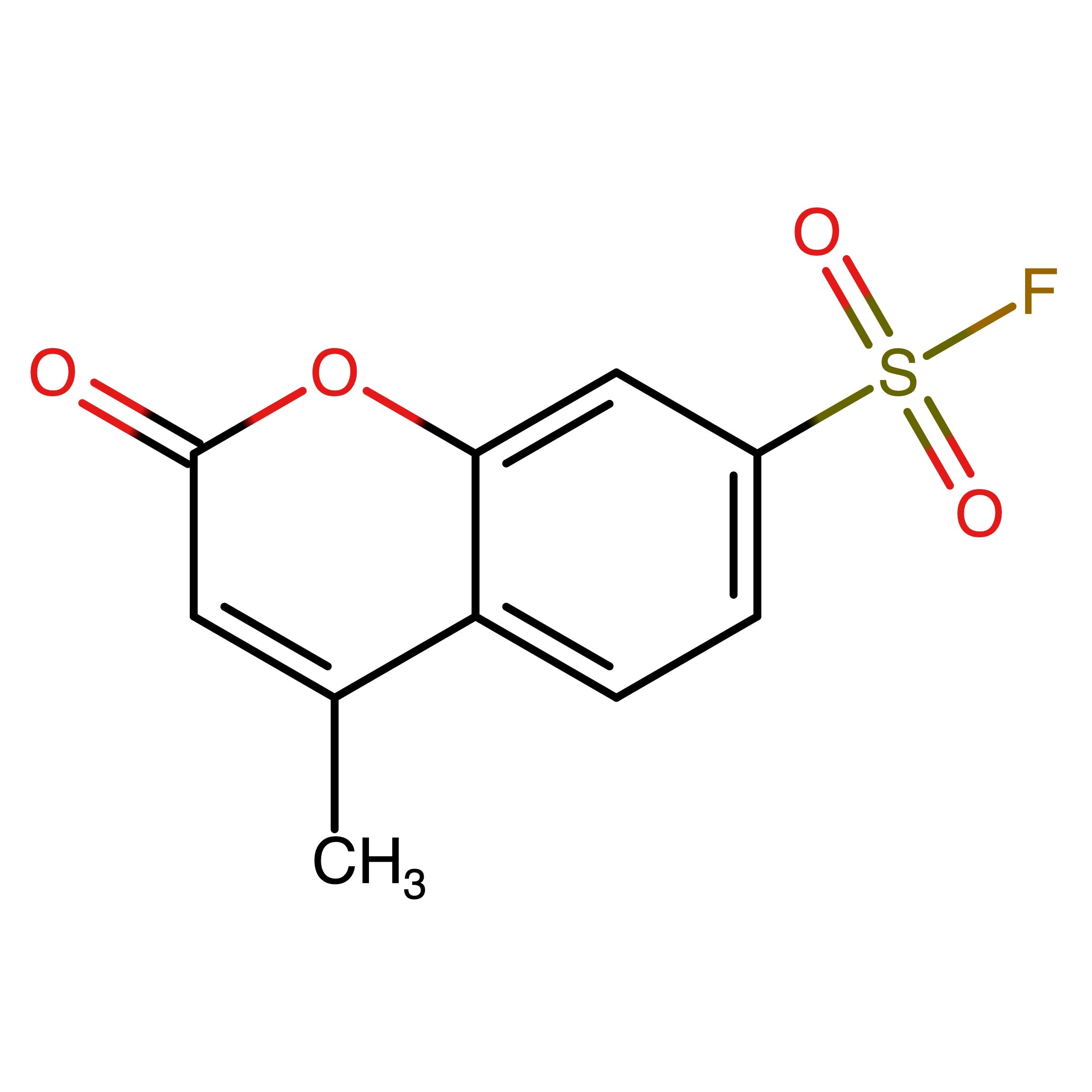 CAS 2414507-78-9 | 4-Methyl-2-oxo-2H-chromene-7-sulfonyl fluoride