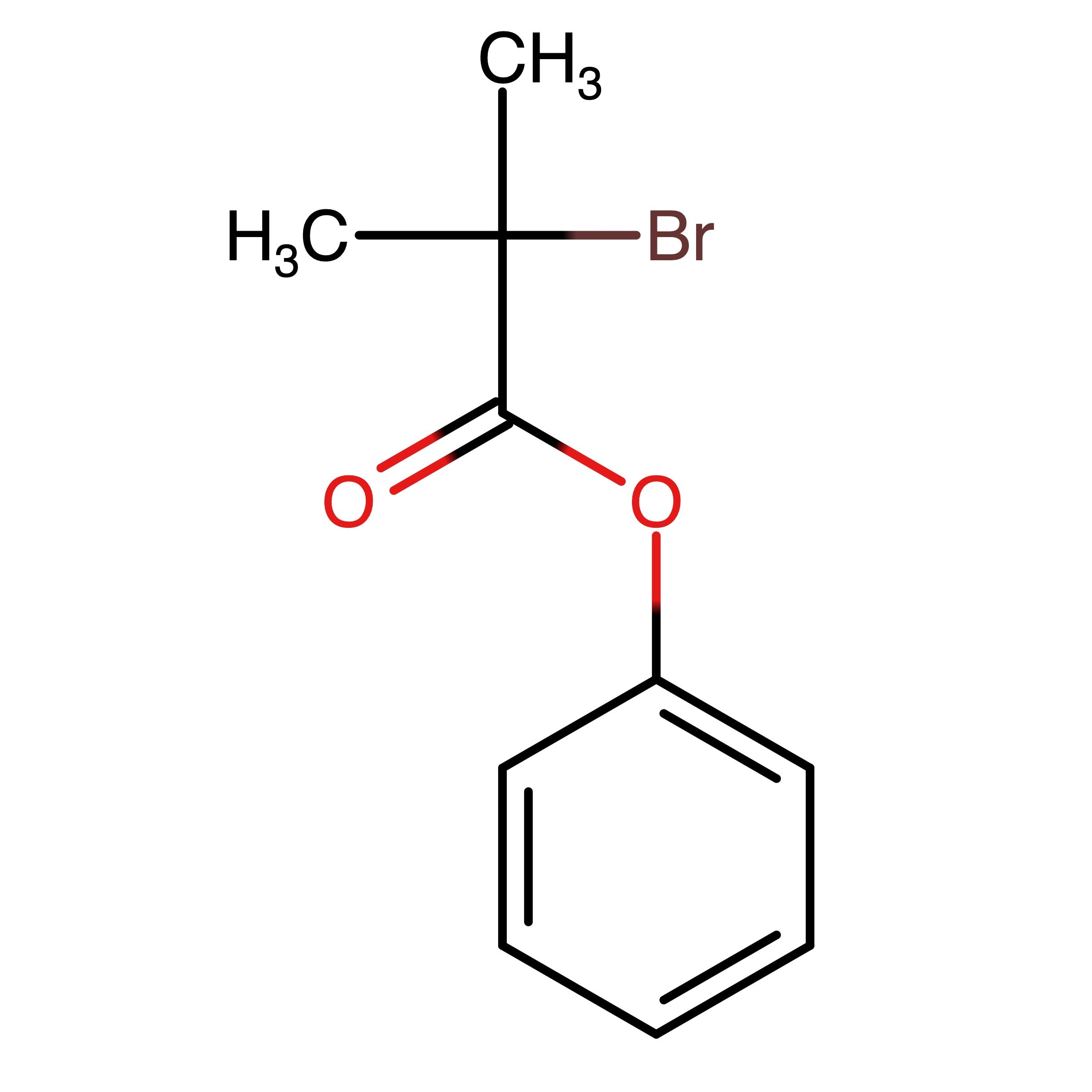 CAS 114397-50-1 | Phenyl 2-bromo-2-methylpropanoate