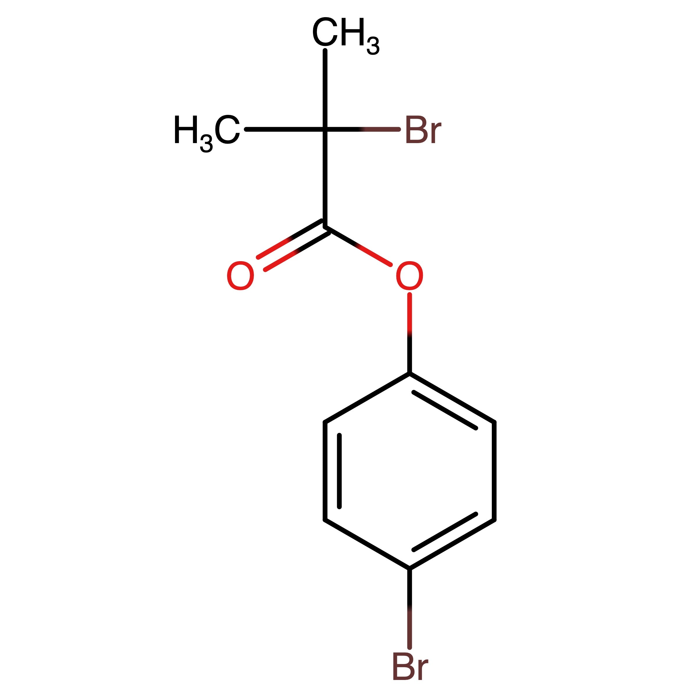 CAS 127049-40-5 | 4-Bromophenyl 2-bromo-2-methylpropanoate