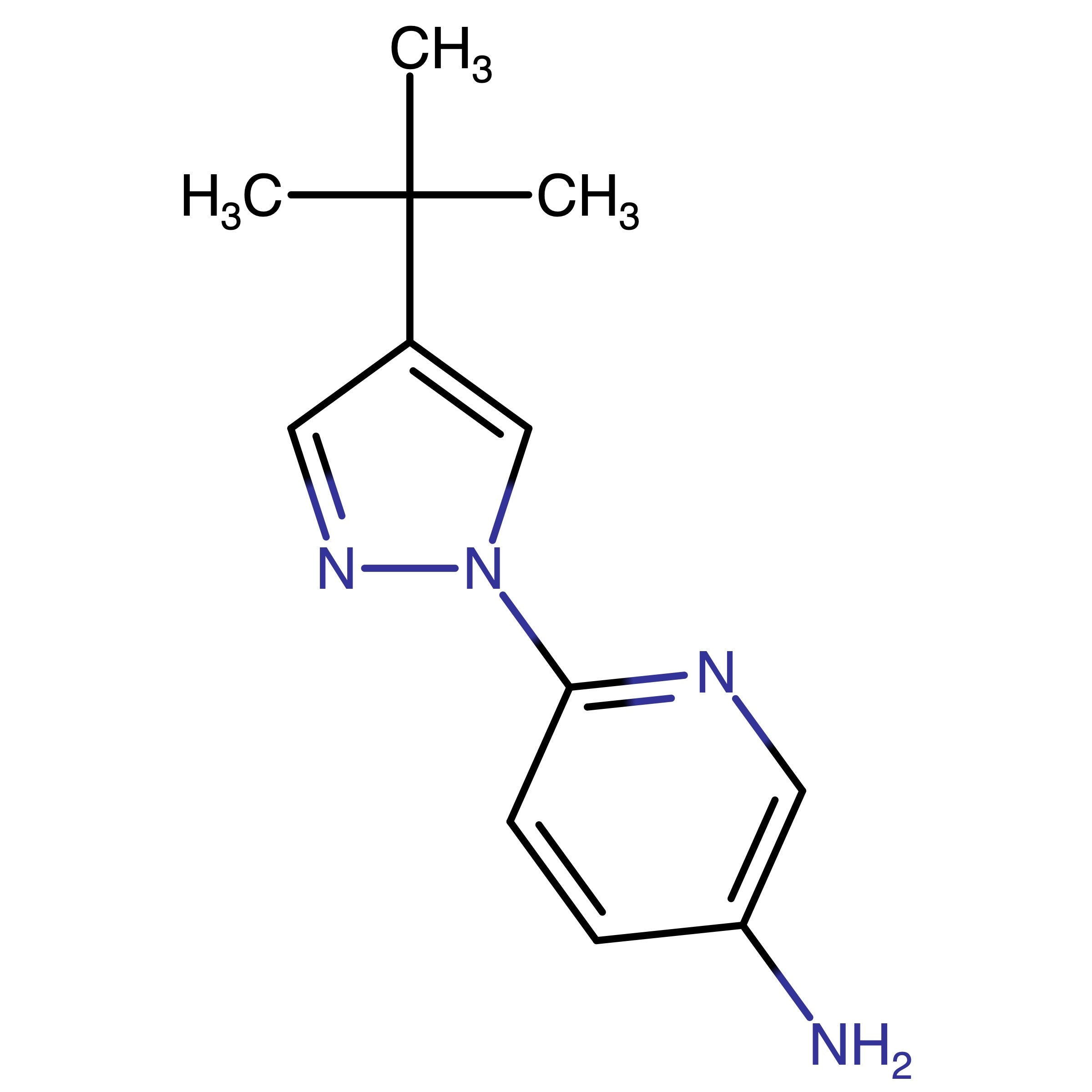 CAS 1393125-96-6 | 6-(4-(tert-Butyl)-1H-pyrazol-1-yl)pyridin-3-amine