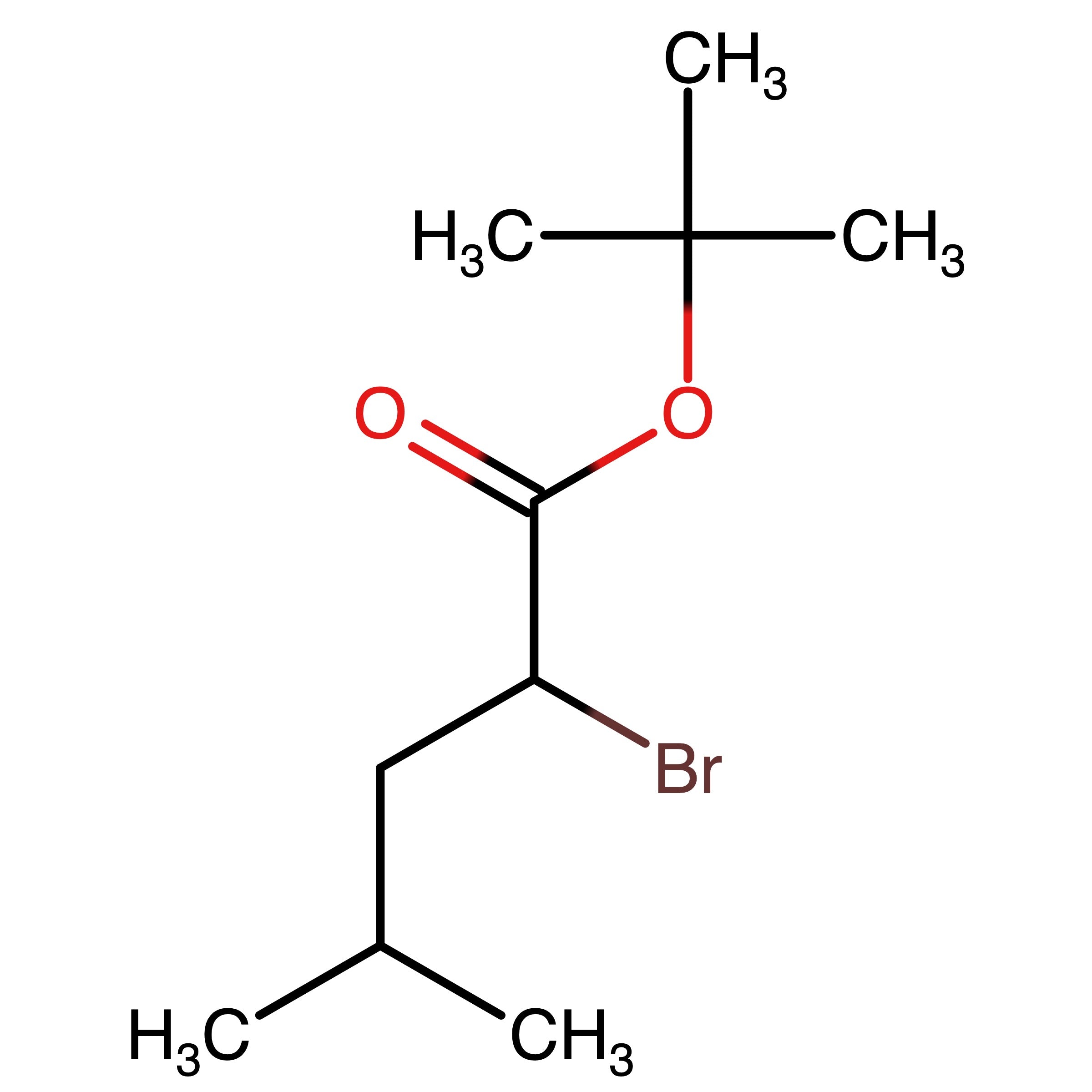 CAS 152624-22-1 | tert-Butyl 2-bromo-4-methylpentanoate | MFCD24523372