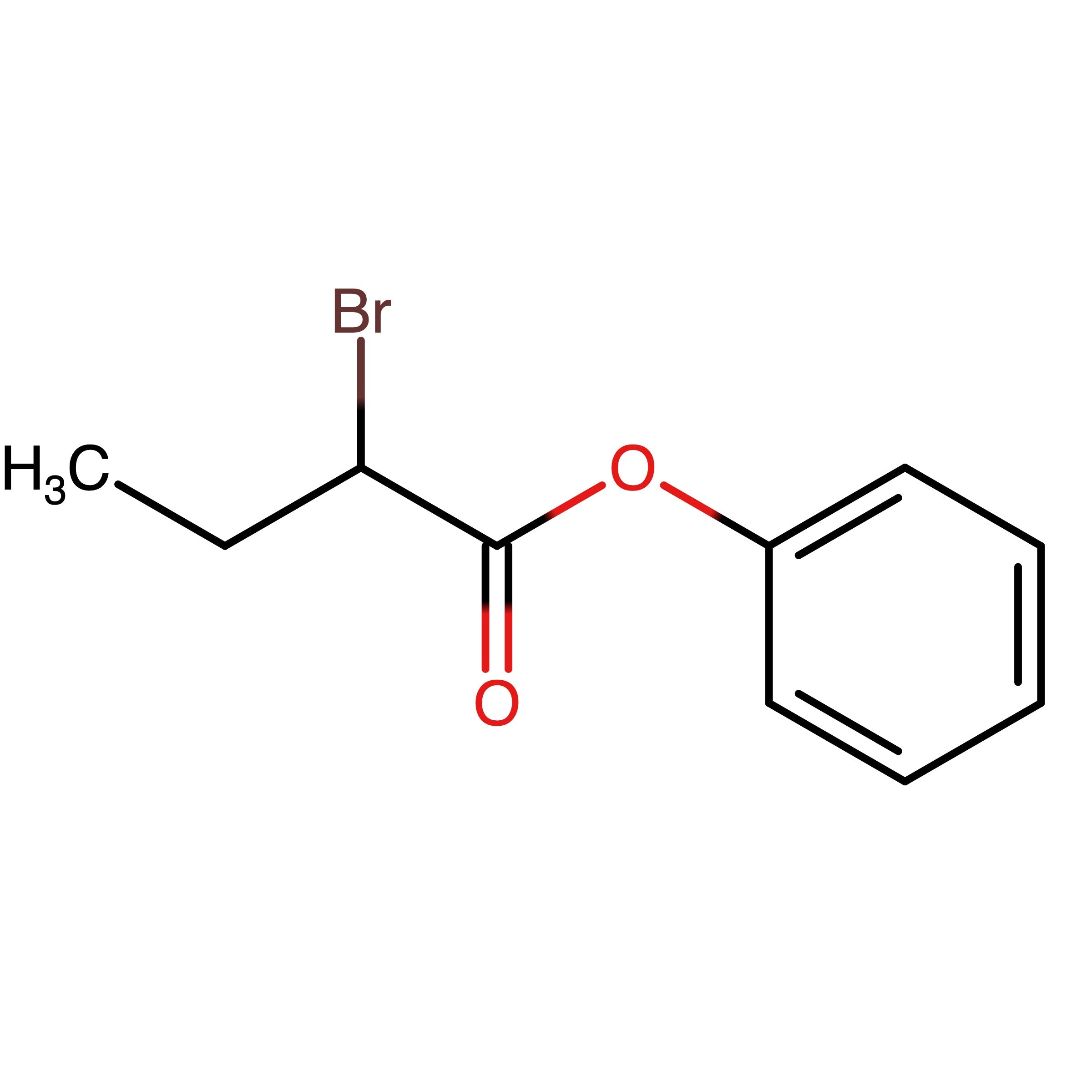 CAS 6308-89-0 | Phenyl 2-bromobutanoate