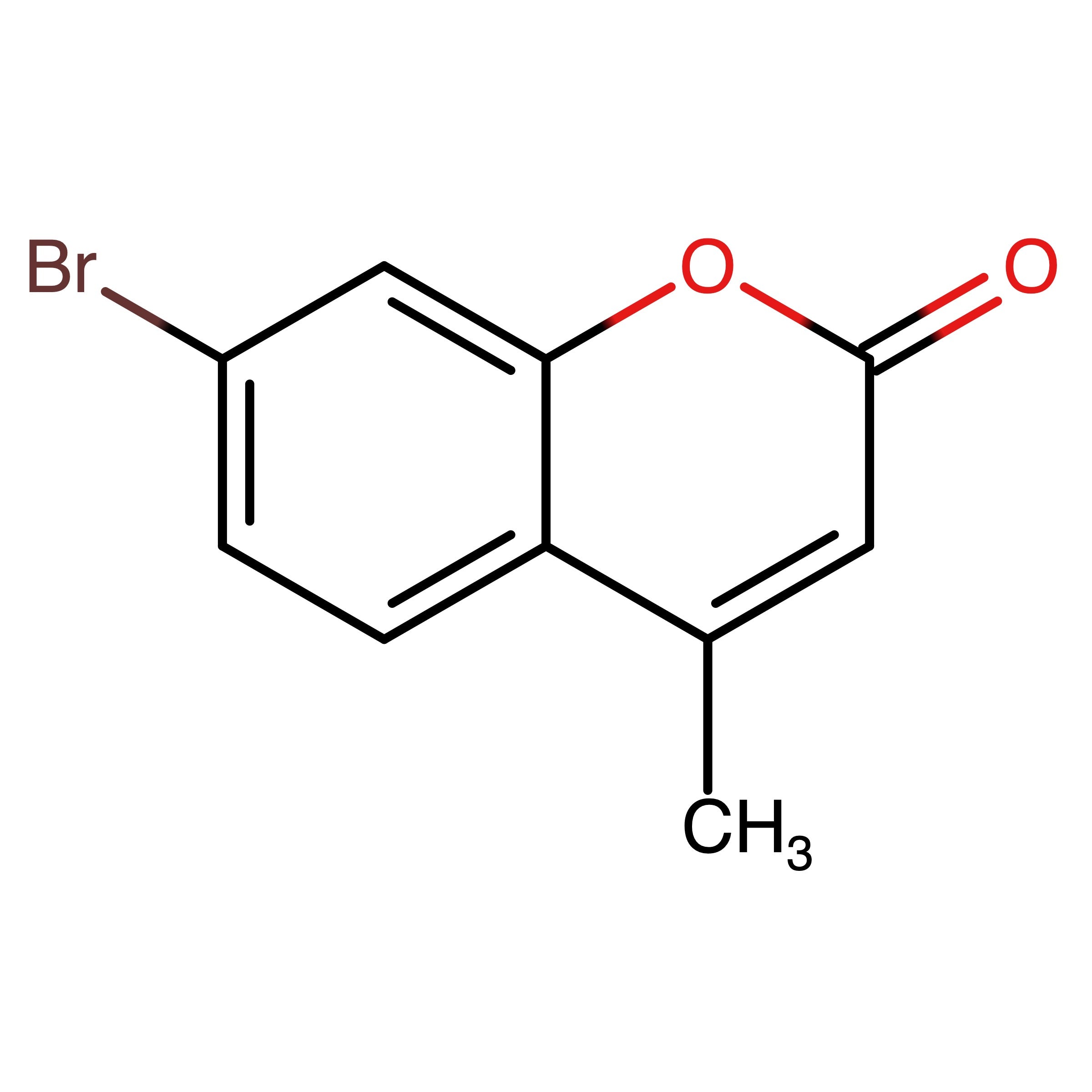 CAS 90767-19-4 | 7-Bromo-4-methyl-2H-chromen-2-one