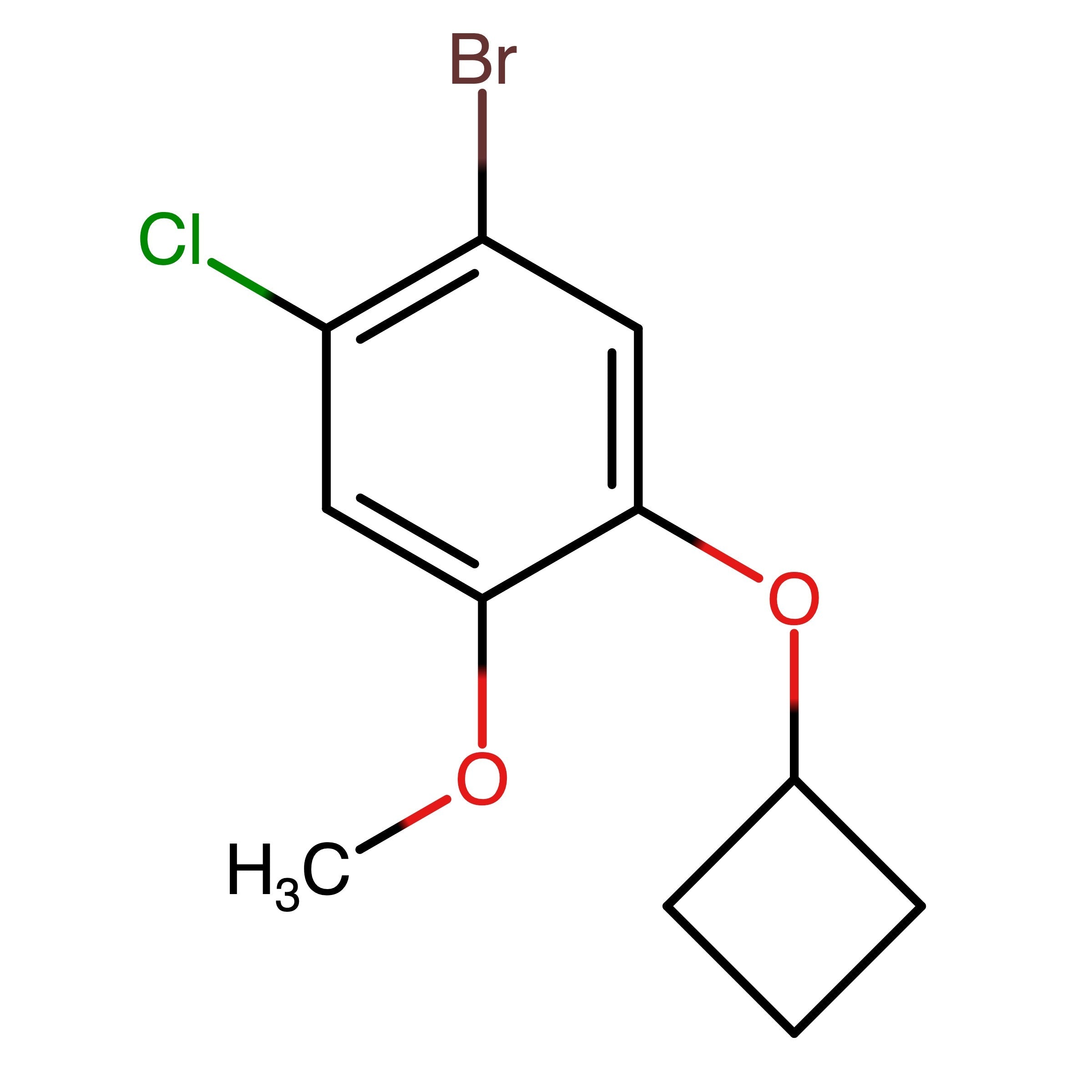 CAS RN 2159082-68-3 | 1-Bromo-2-chloro-5-cyclobutoxy-4-methoxybenzene | MFCD32632906