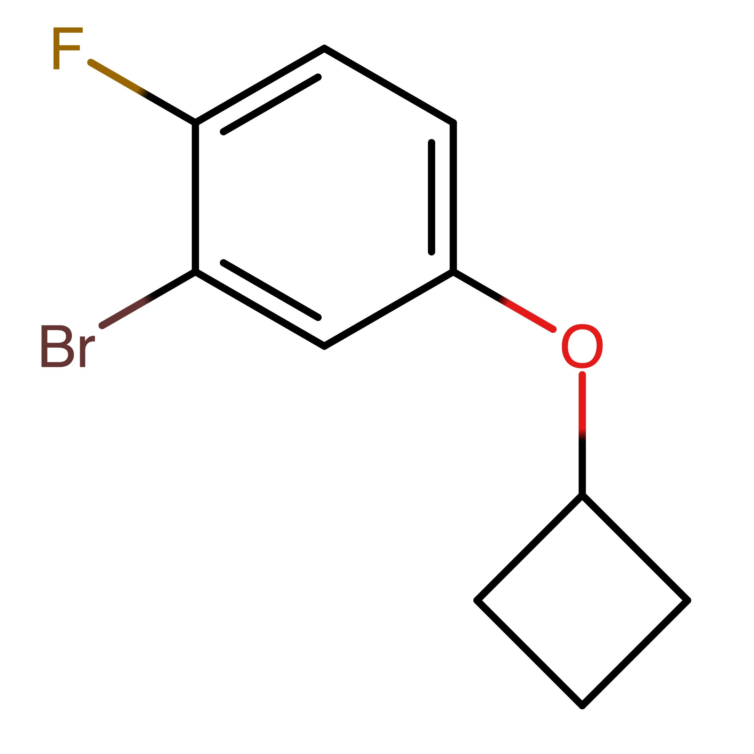 CAS RN 1599479-36-3 | 2-Bromo-4-cyclobutoxy-1-fluorobenzene