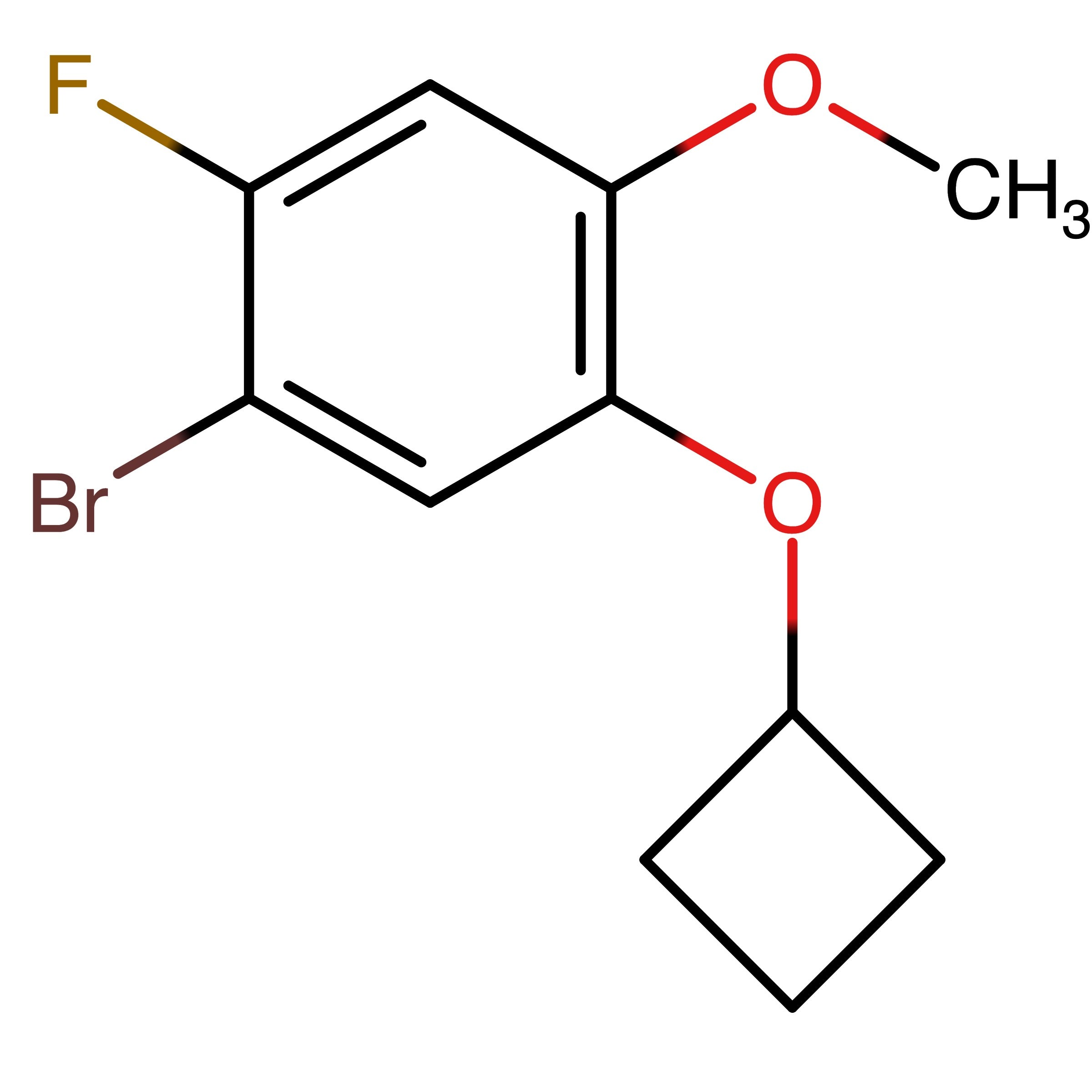 CAS RN 1637567-21-5 | 1-Bromo-5-cyclobutoxy-2-fluoro-4-methoxybenzene