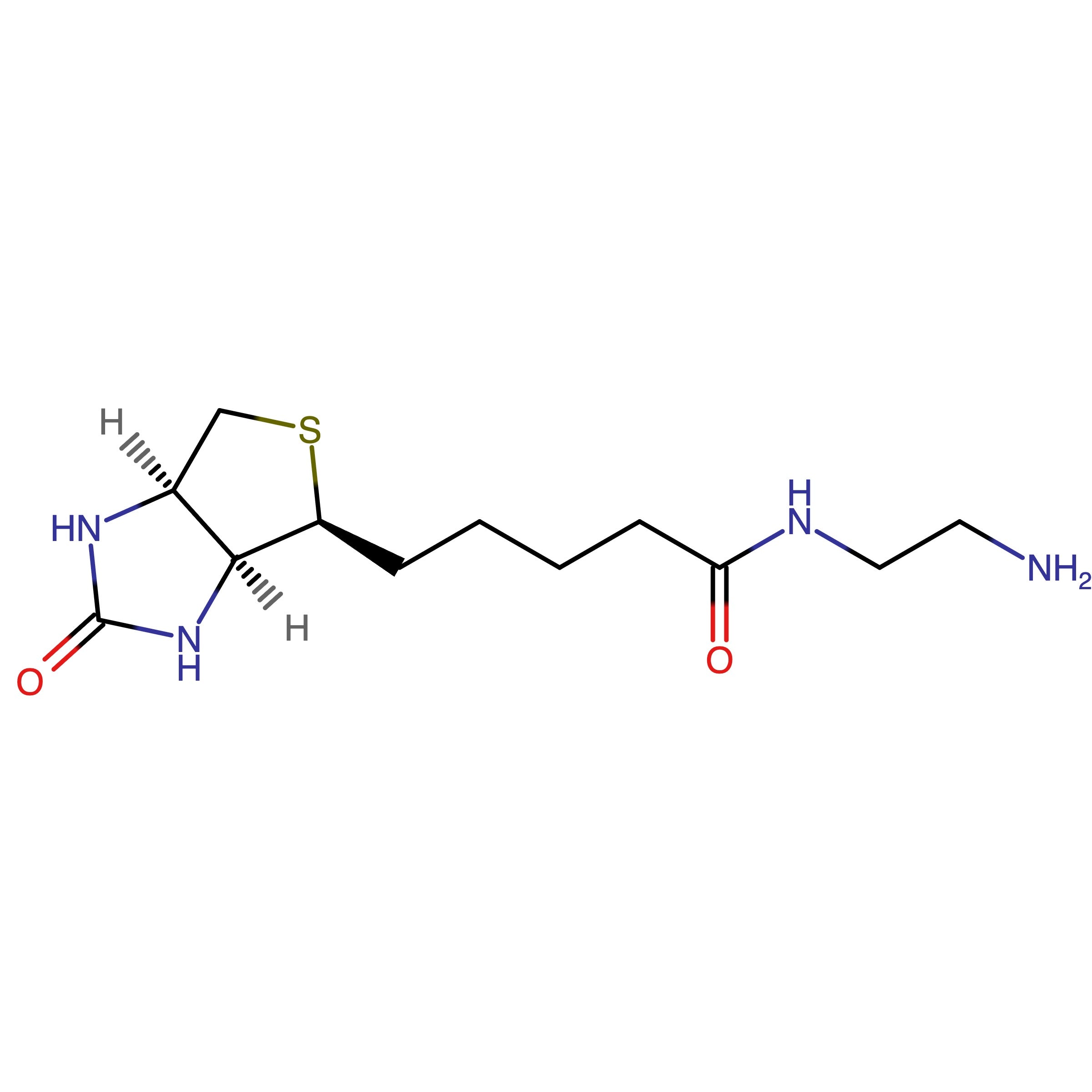 CAS RN 111790-37-5 | N-(2-Aminoethyl)-5-((3aS,4S,6aR)-2-oxohexahydro-1H-thieno[3,4-d]imidazol-4-yl)pentanamide | MFCD09839905