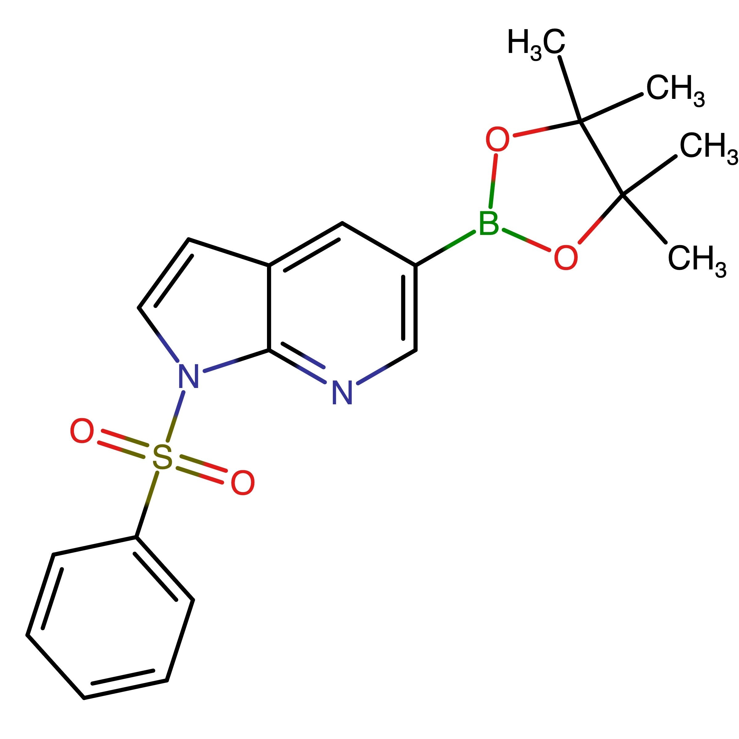 CAS 2058052-40-5 | 1-(Phenylsulfonyl)-5-(4,4,5,5-tetramethyl-1,3,2-dioxaborolan-2-yl)-1H-pyrrolo[2,3-b]pyridine | MFCD28952884