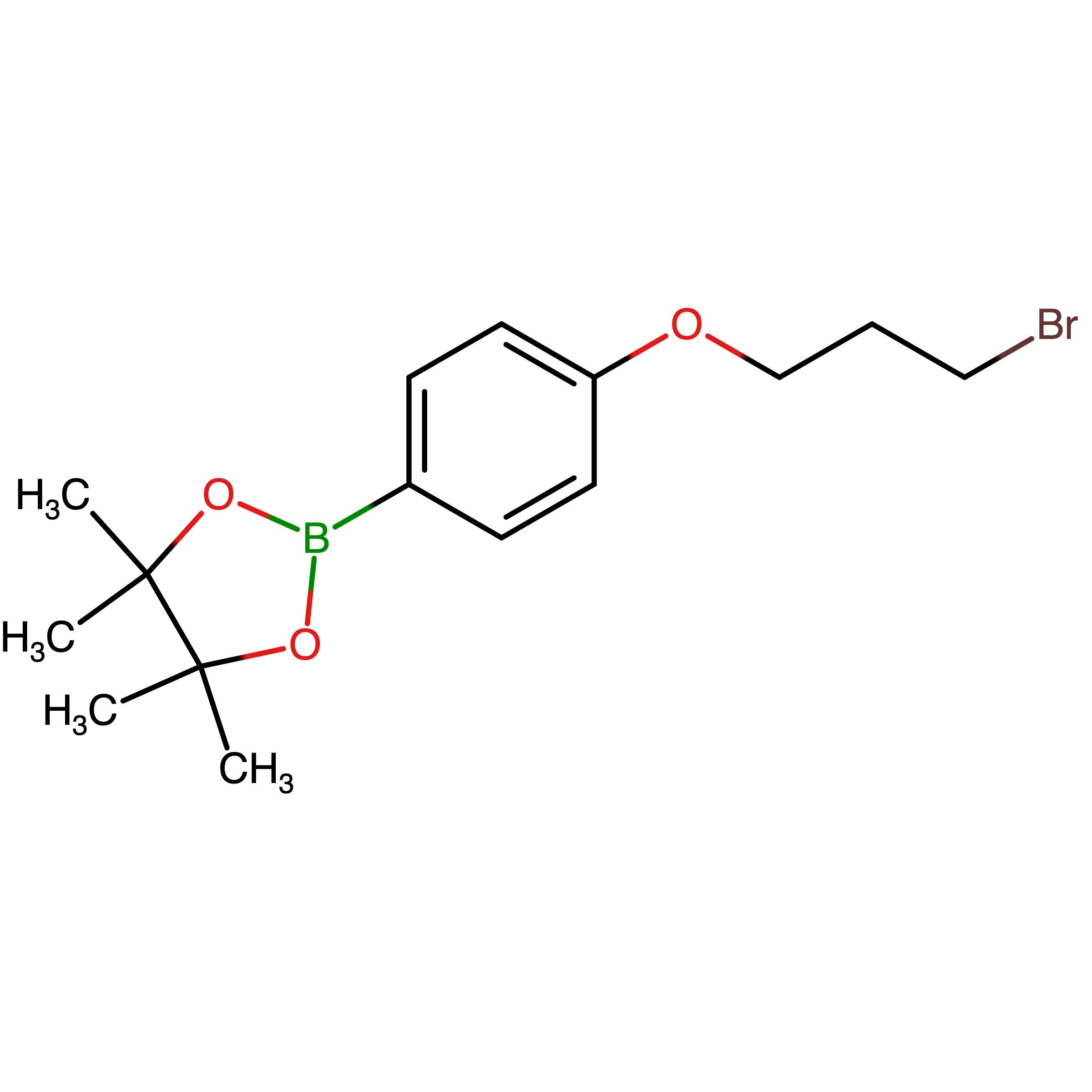 CAS 957061-13-1 | 2-[4-(3-Bromopropoxy)phenyl]-4,4,5,5-tetramethyl-1,3,2-dioxaborolane | MFCD09258657