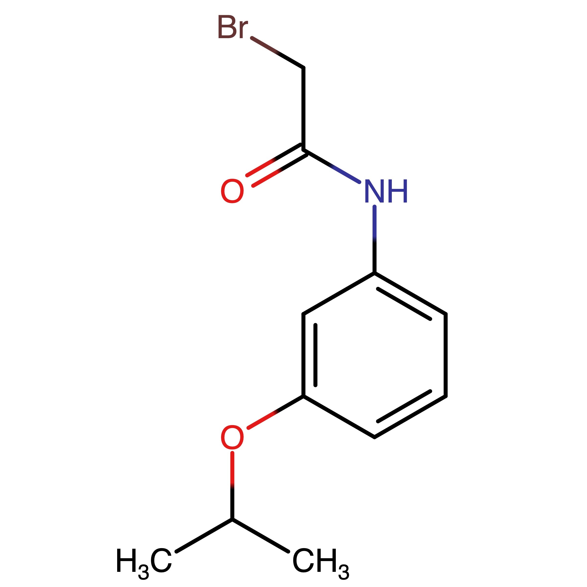 CAS 918408-65-8 | 2-Bromo-N-(3-propan-2-yloxyphenyl)acetamide