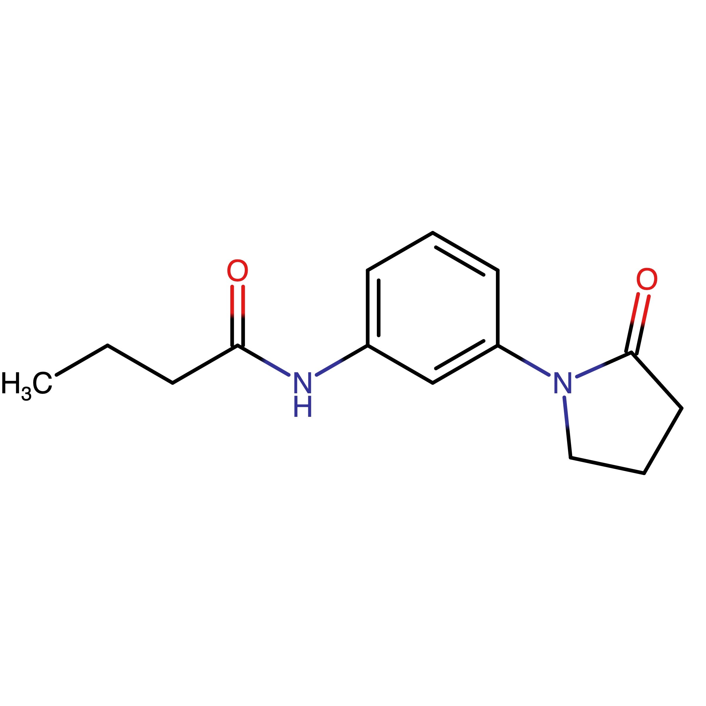 CAS 922886-66-6 | N-[3-(2-Oxopyrrolidin-1-yl)phenyl]butanamide