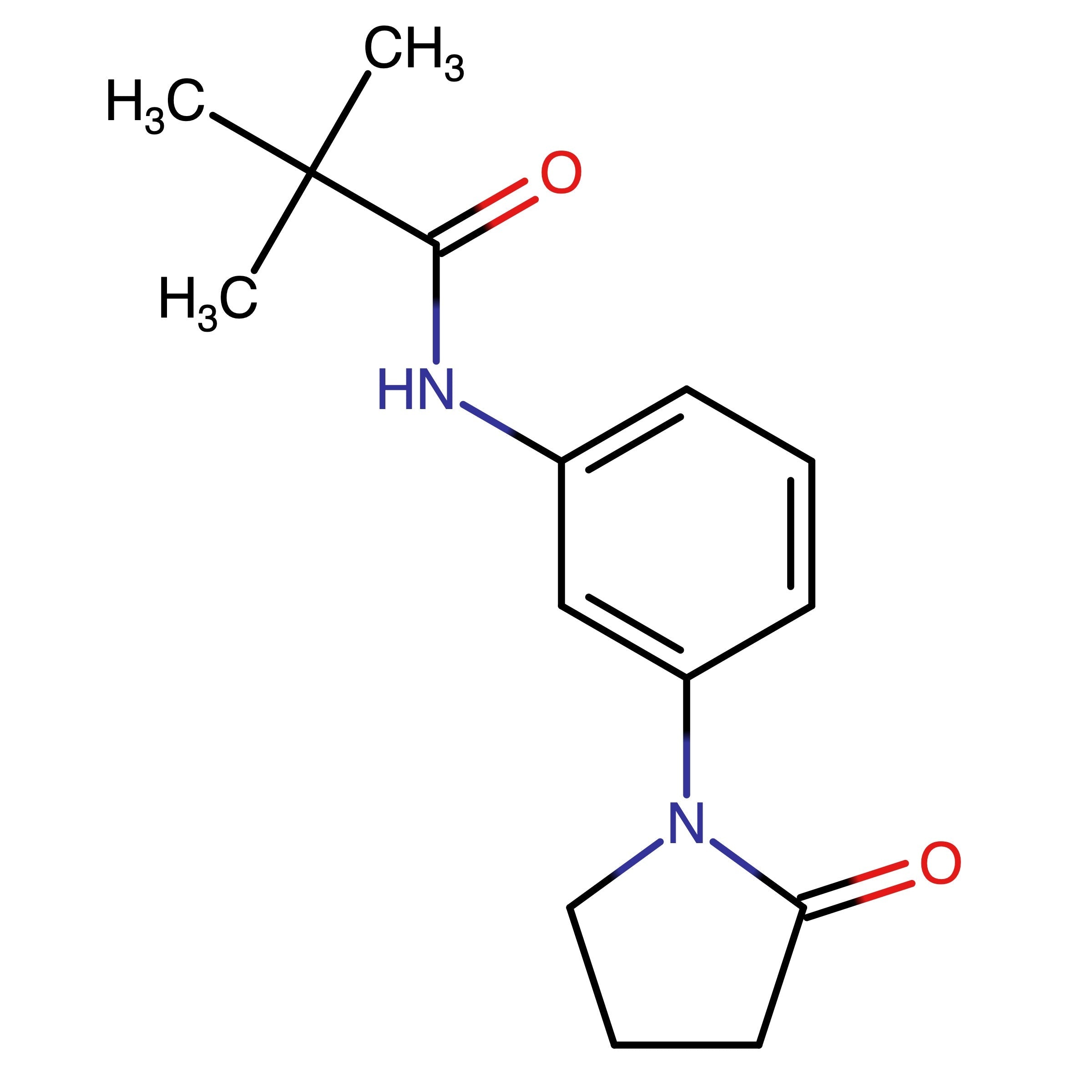 CAS 922950-58-1 | 2,2-Dimethyl-N-[3-(2-oxopyrrolidin-1-yl)phenyl]propanamide