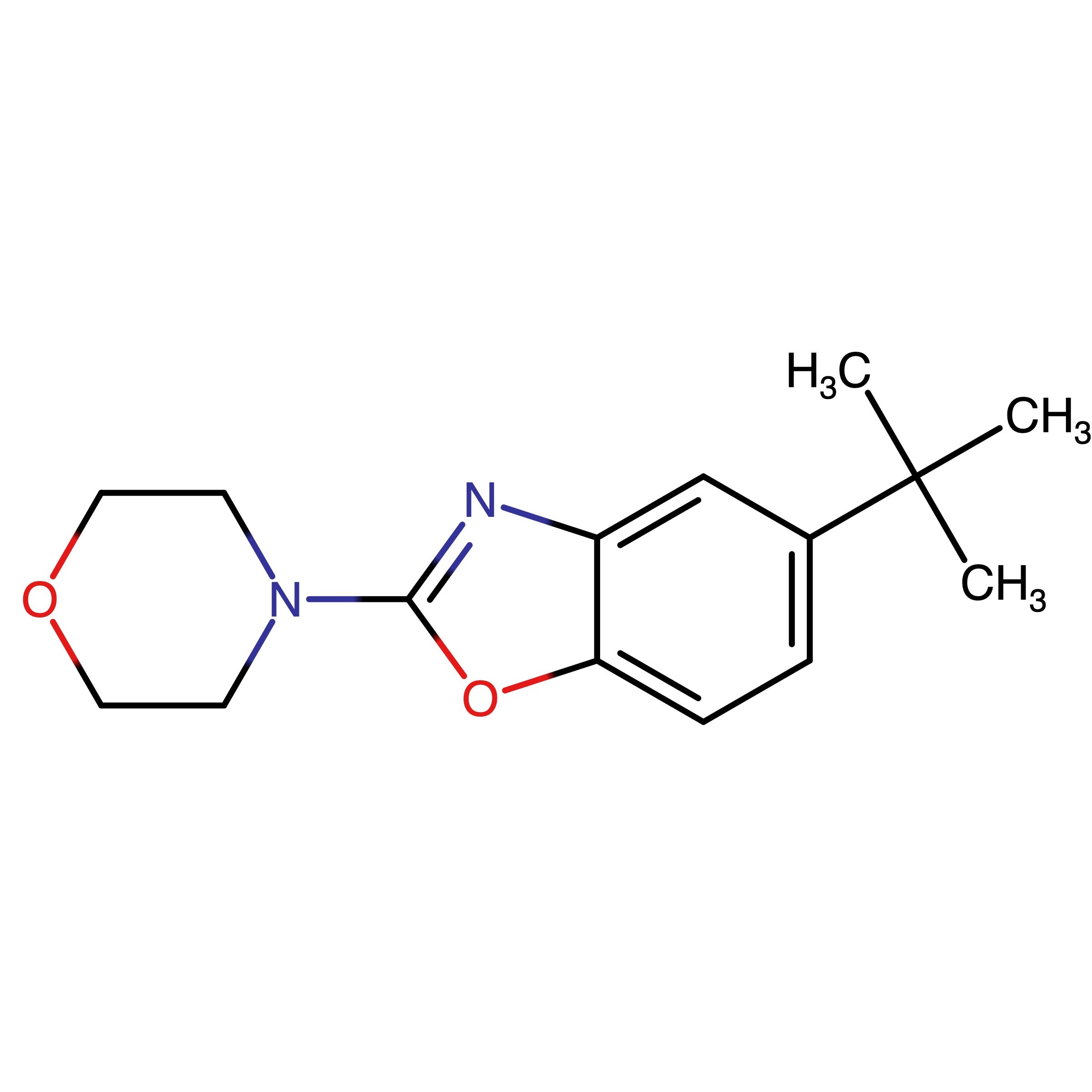 CAS 1311275-05-4 | 5-(tert-Butyl)-2-morpholinobenzo[d]oxazole