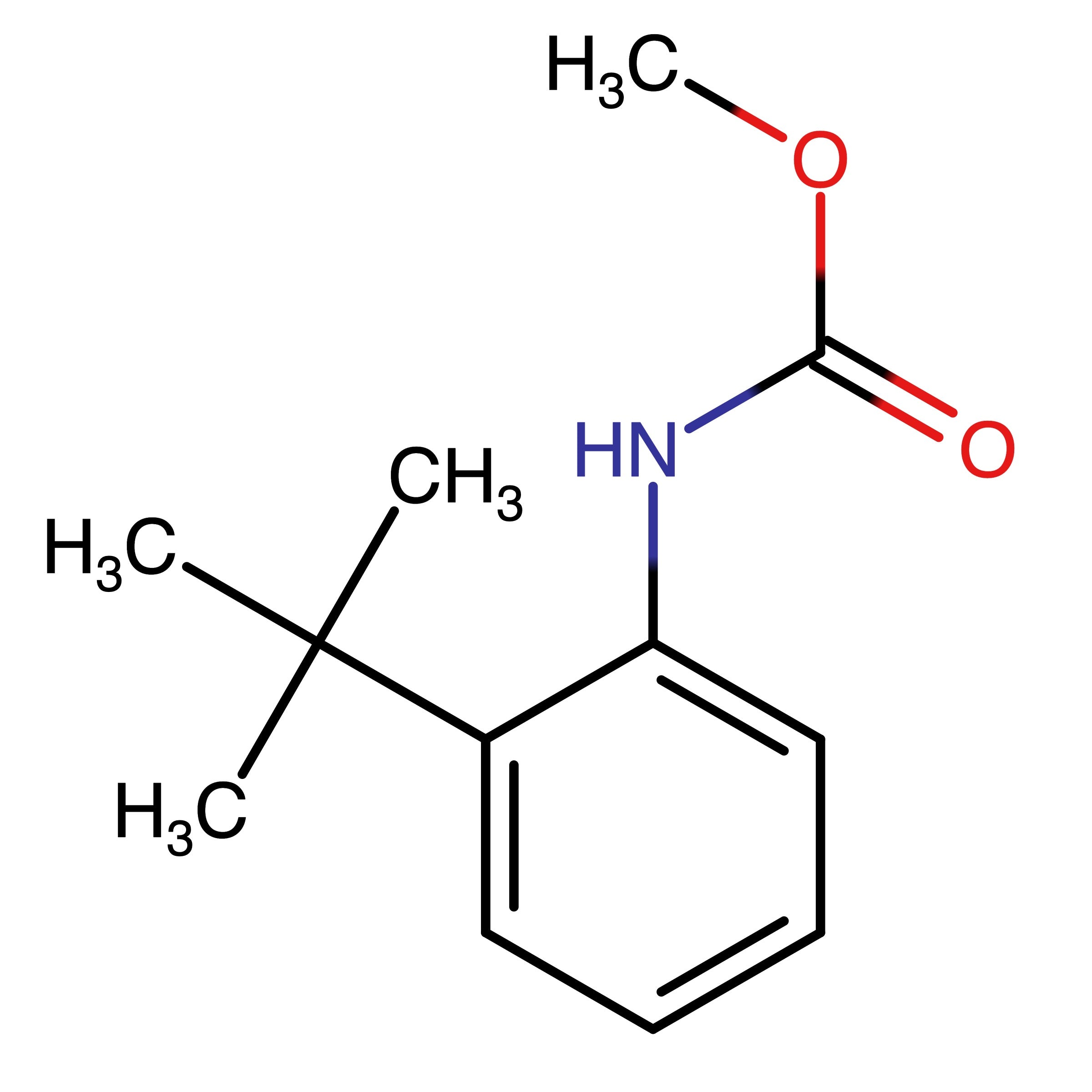 CAS 182685-72-9 | (2-tert-Butyl-phenyl)-carbamic acid methyl ester