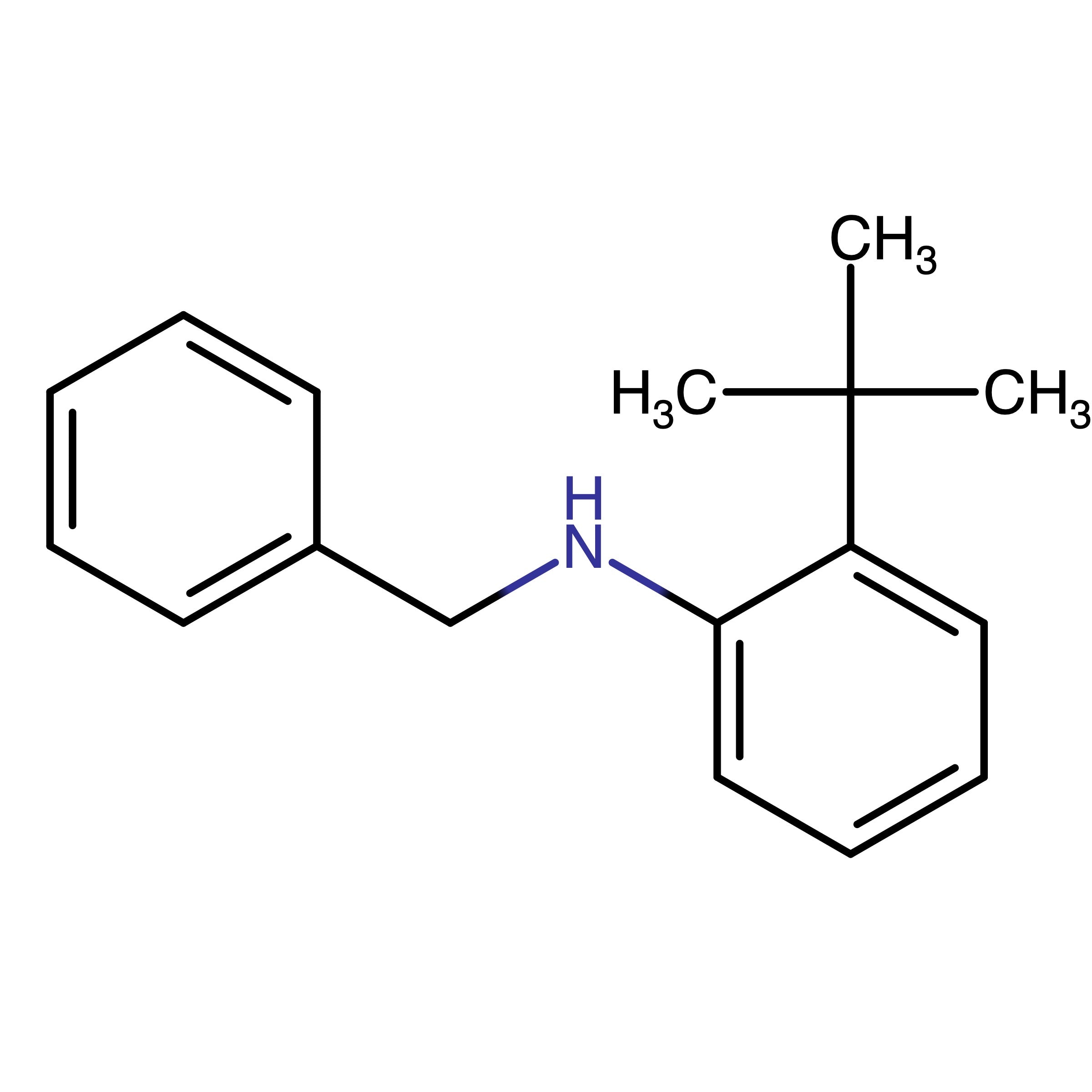 CAS 205242-33-7 | Benzyl-(2-tert-butyl-phenyl)-amine