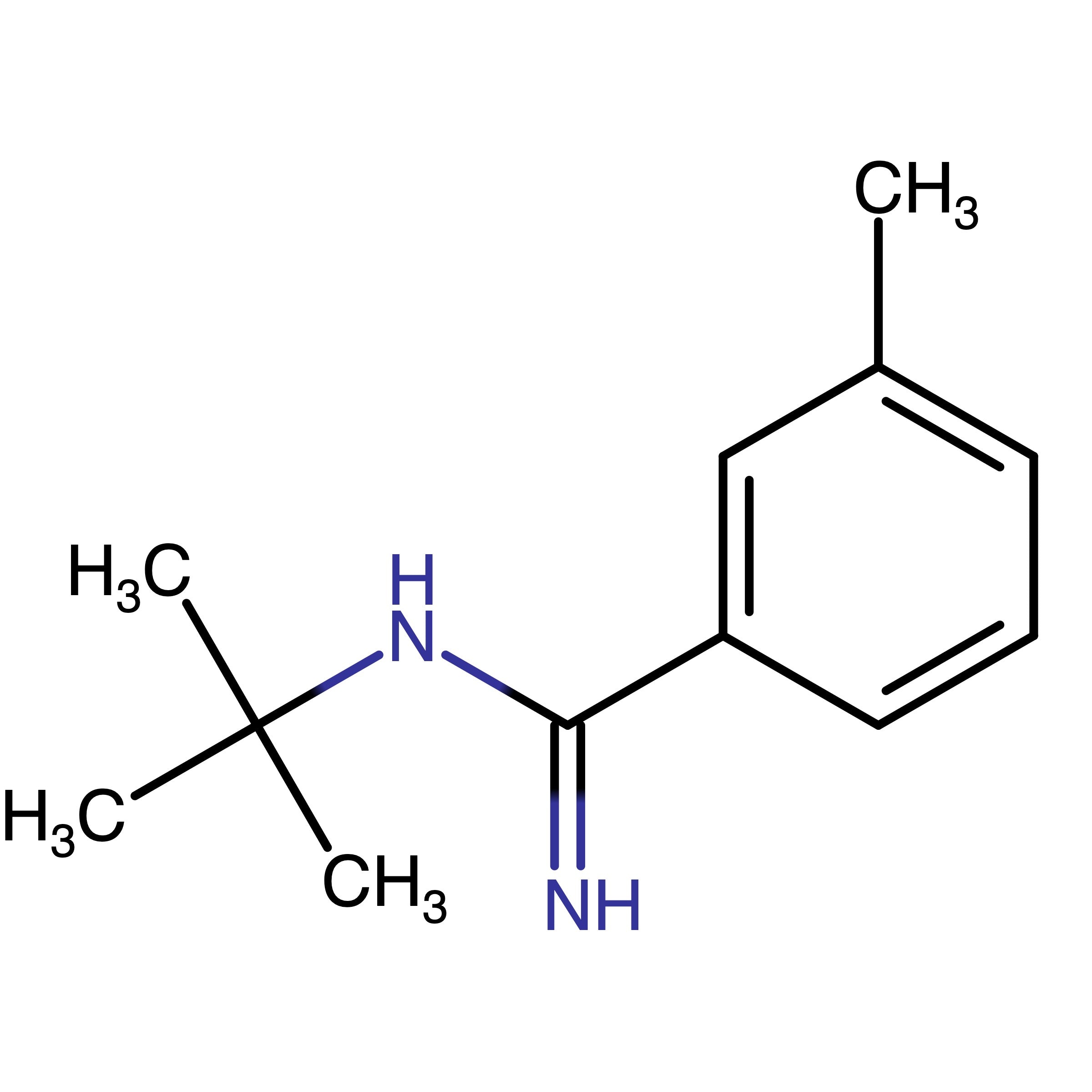 CAS 1321176-77-5 | N-tert-Butyl-3-methylbenzenecarboximidamide