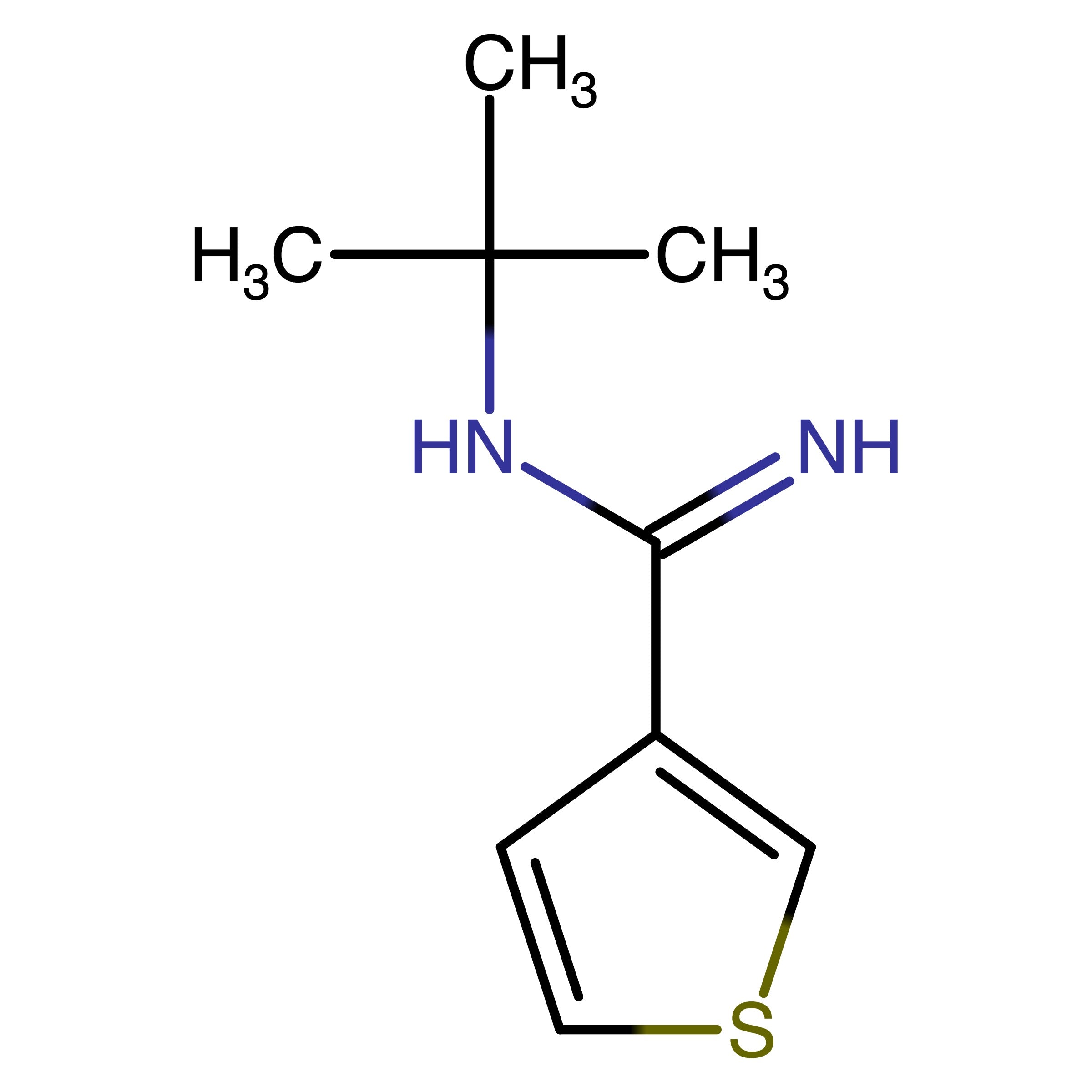 CAS 1342517-04-7 | N-tert-Butylthiophene-3-carboximidamide