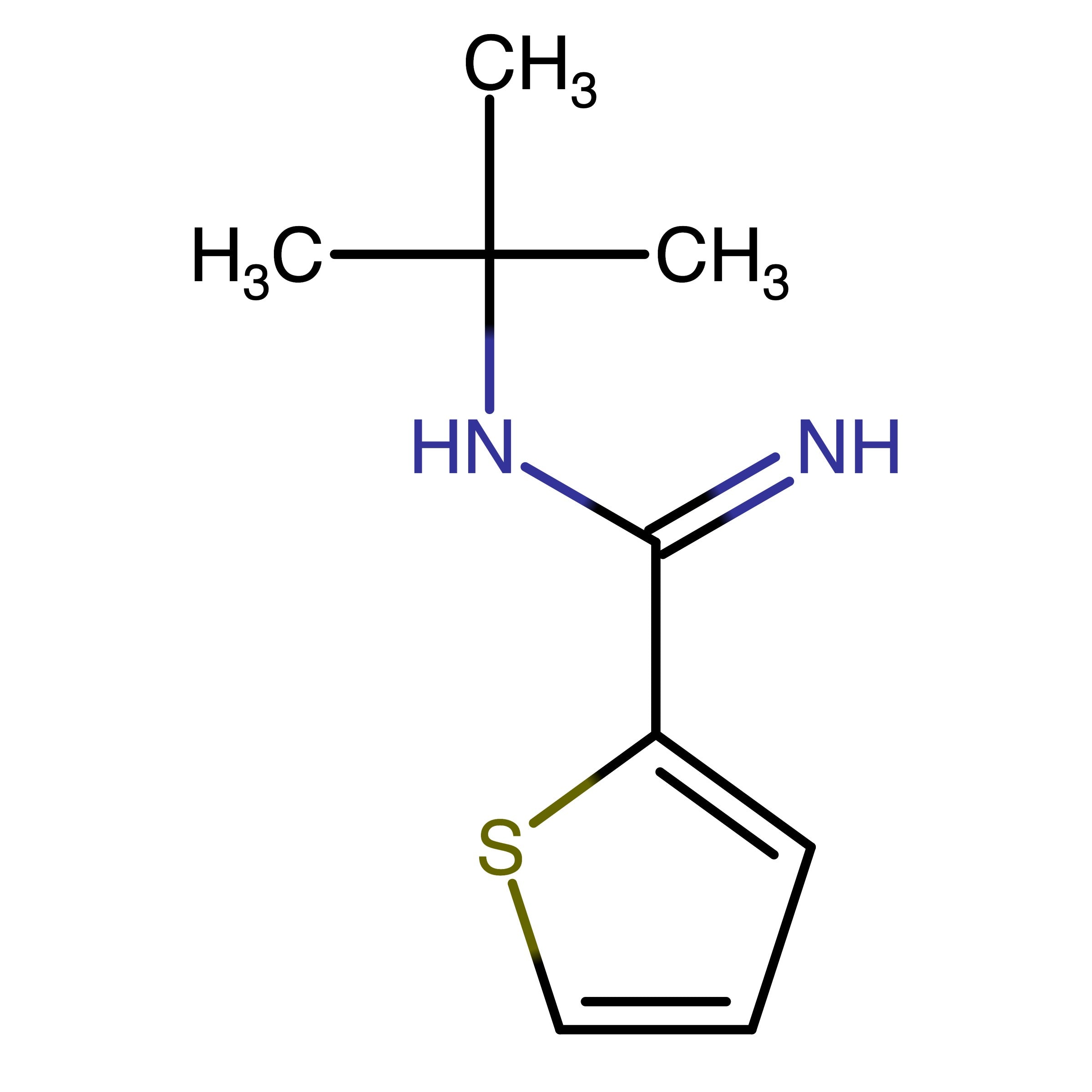CAS 1340148-56-2 | N-tert-Butylthiophene-2-carboximidamide