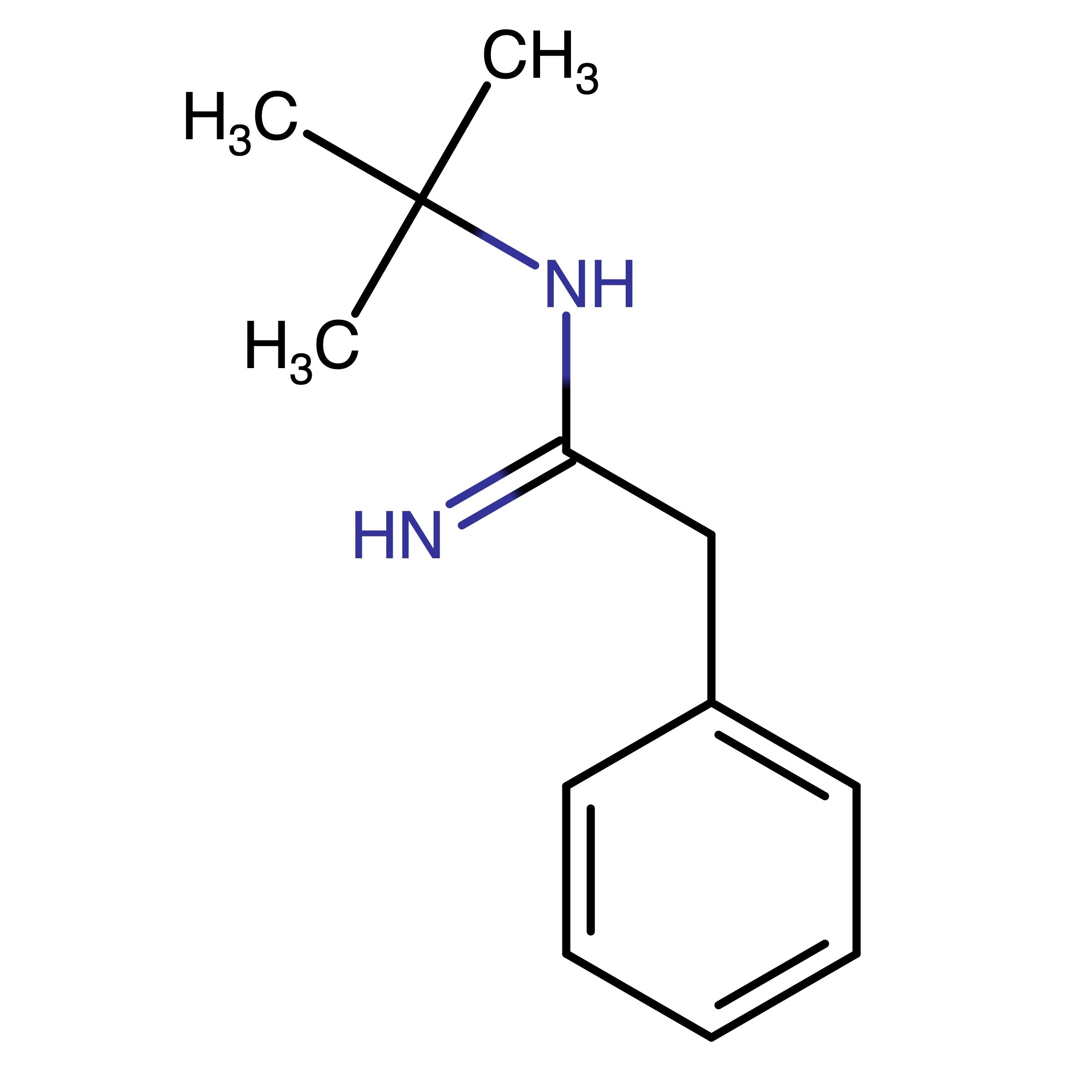 CAS 860621-29-0 | N-tert-Butyl-2-phenylethanimidamide