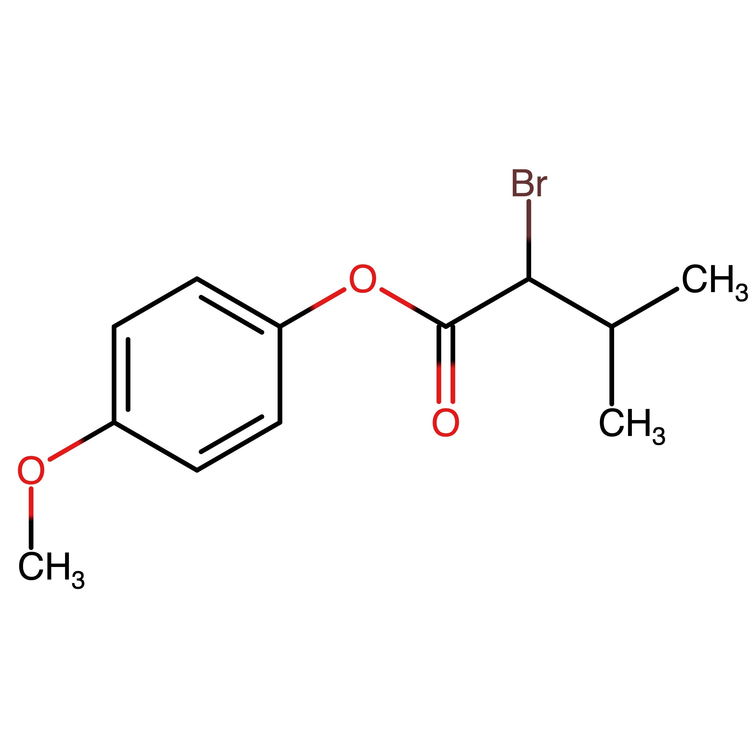 CAS 1612216-66-6 | 4-Methoxyphenyl 2-bromo-3-methylbutanoate
