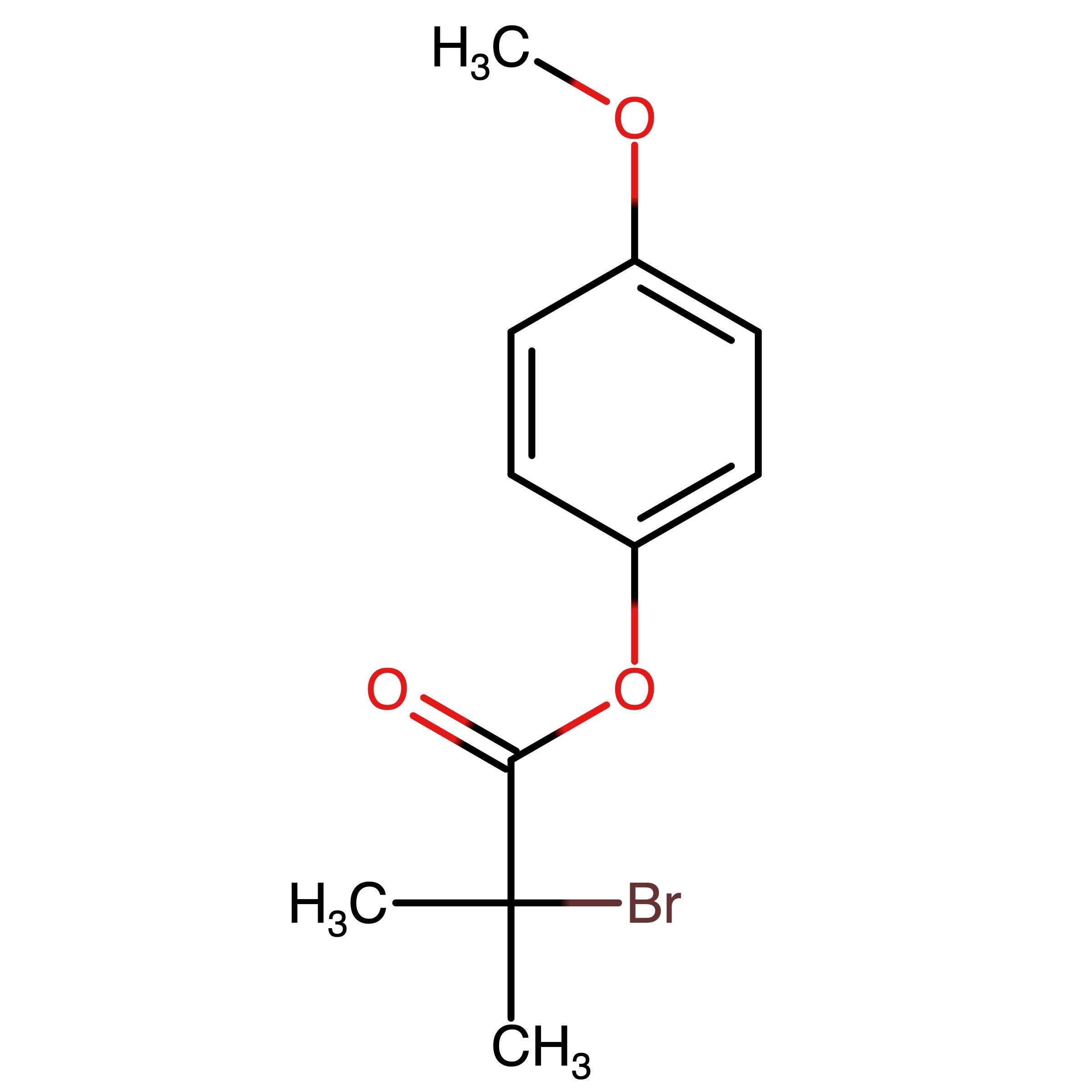 CAS 255042-69-4 | 4-Methoxyphenyl 2-bromo-2-methylpropanoate