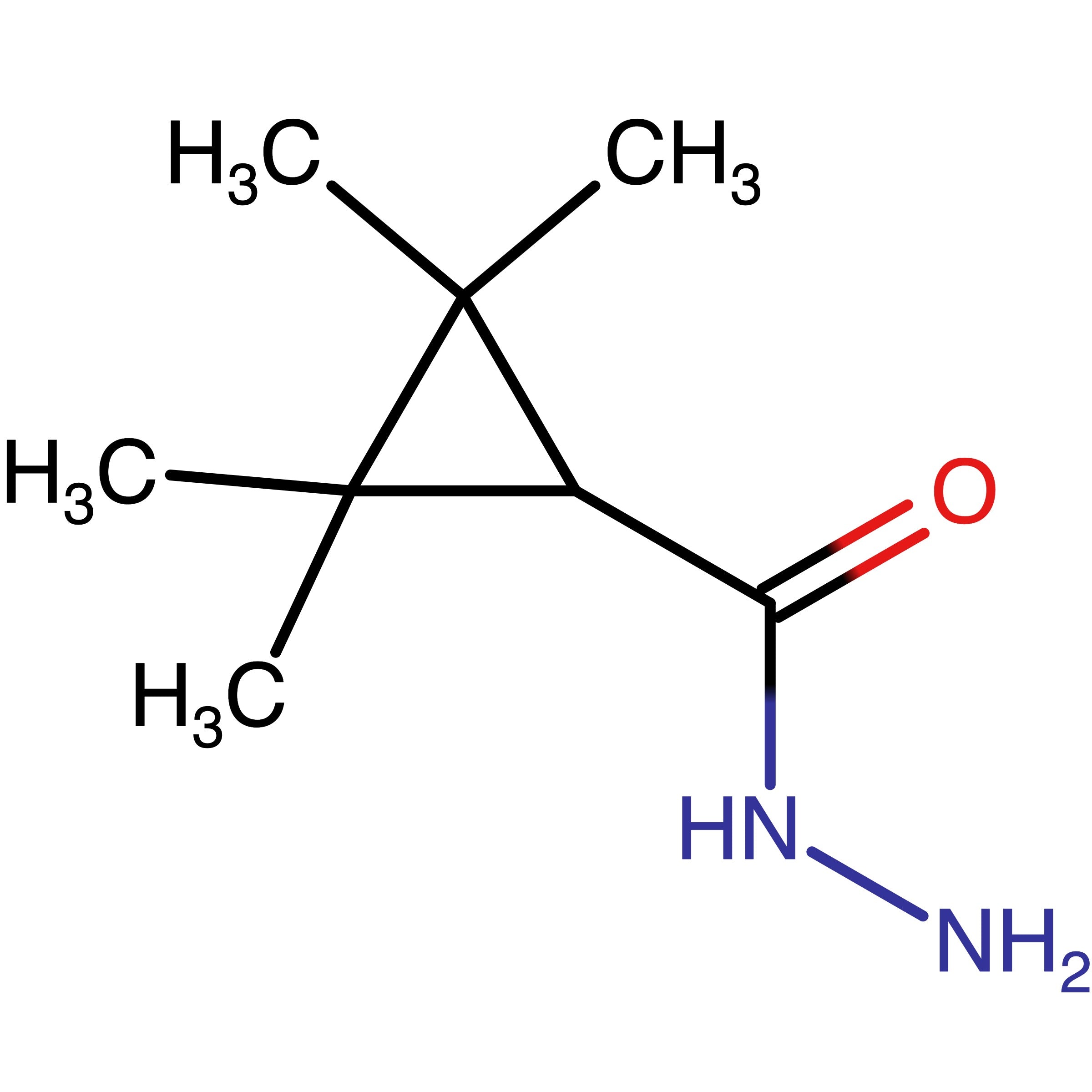 CAS 756830-97-4 | 2-2-3-3-Tetramethylcyclopropane-1-carbohydrazide