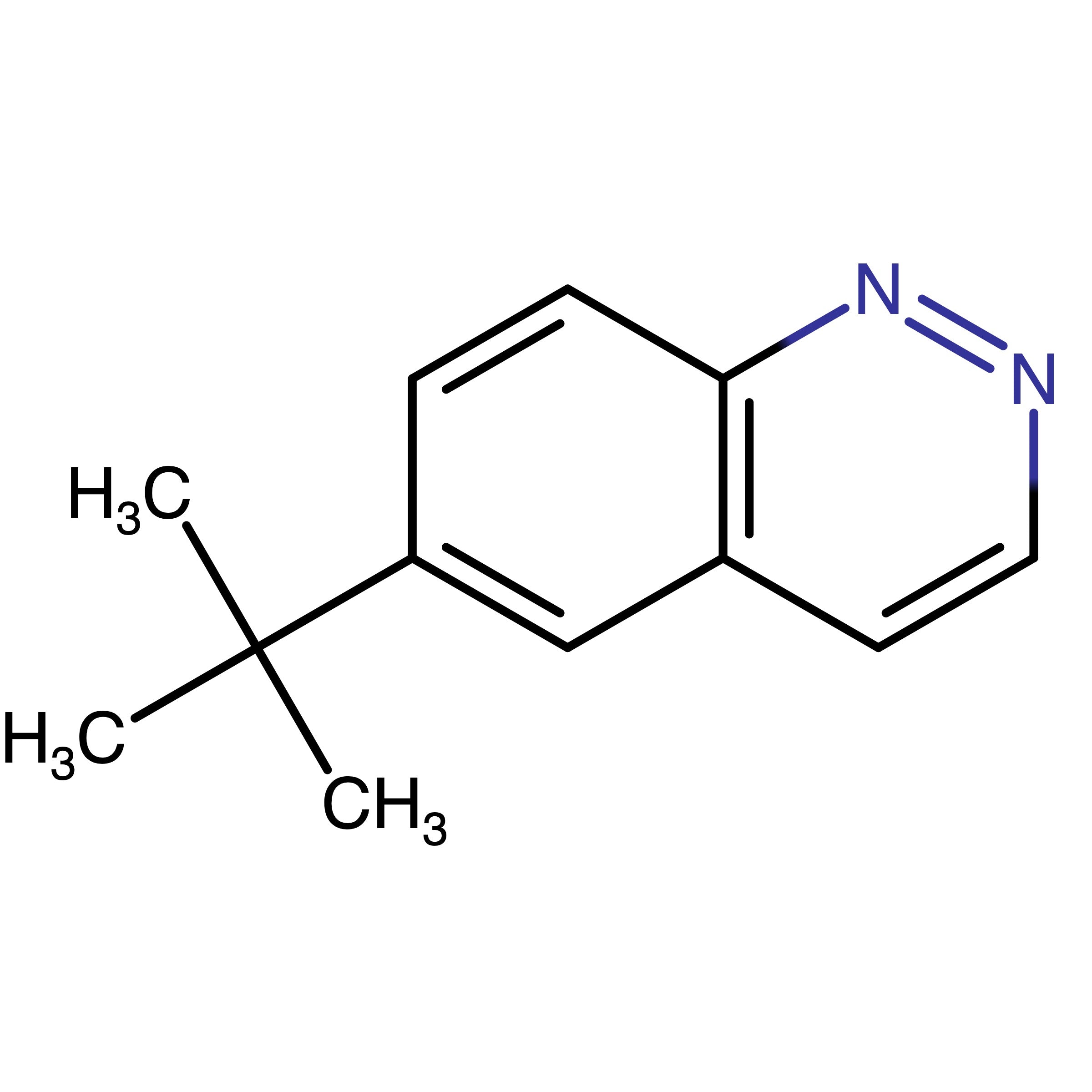 CAS 318276-70-9 | 6-tert-Butylcinnoline