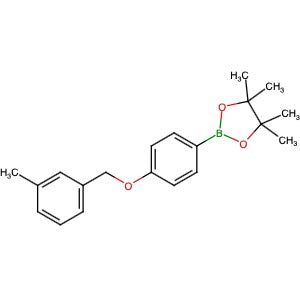 1029439-14-2 | 4,4,5,5-Tetramethyl-2-[4-[(3-methylphenyl)methoxy]phenyl]-1,3,2-dioxaborolane - Hoffman Fine Chemicals