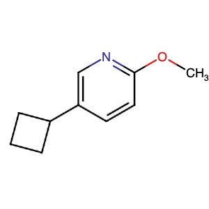 1063961-23-8 | 5-Cyclobutyl-2-methoxypyridine - Hoffman Fine Chemicals