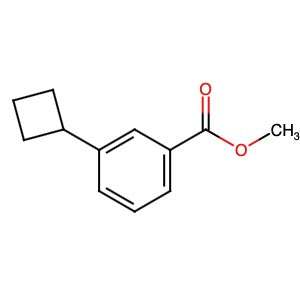 1063961-26-1 | Methyl 3-cyclobutylbenzoate - Hoffman Fine Chemicals