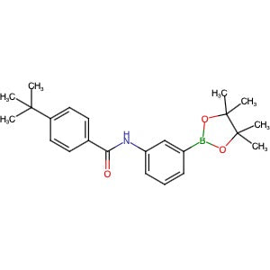 1147530-76-4 | 4-(tert-Butyl)-N-(3-(4,4,5,5-tetramethyl-1,3,2-dioxaborolan-2-yl)phenyl)benzamide - Hoffman Fine Chemicals