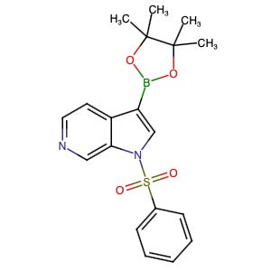 1174038-65-3 | 1-(Phenylsulfonyl)-6-azaindole-3-boronic acid pinacol ester - Hoffman Fine Chemicals