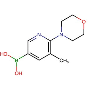 1191062-85-7 | (5-Methyl-6-morpholinopyridin-3-yl)boronic acid - Hoffman Fine Chemicals