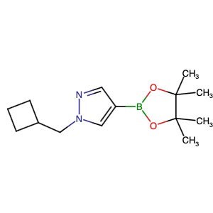 1233526-47-0 | 1-(Cyclobutylmethyl)-4-(tetramethyl-1,3,2-dioxaborolan-2-yl)-1H-pyrazole - Hoffman Fine Chemicals