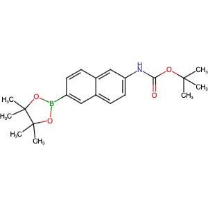 1312611-41-8 | tert-Butyl (6-(4,4,5,5-tetramethyl-1,3,2-dioxaborolan-2-yl)naphthalen-2-yl)carbamate - Hoffman Fine Chemicals